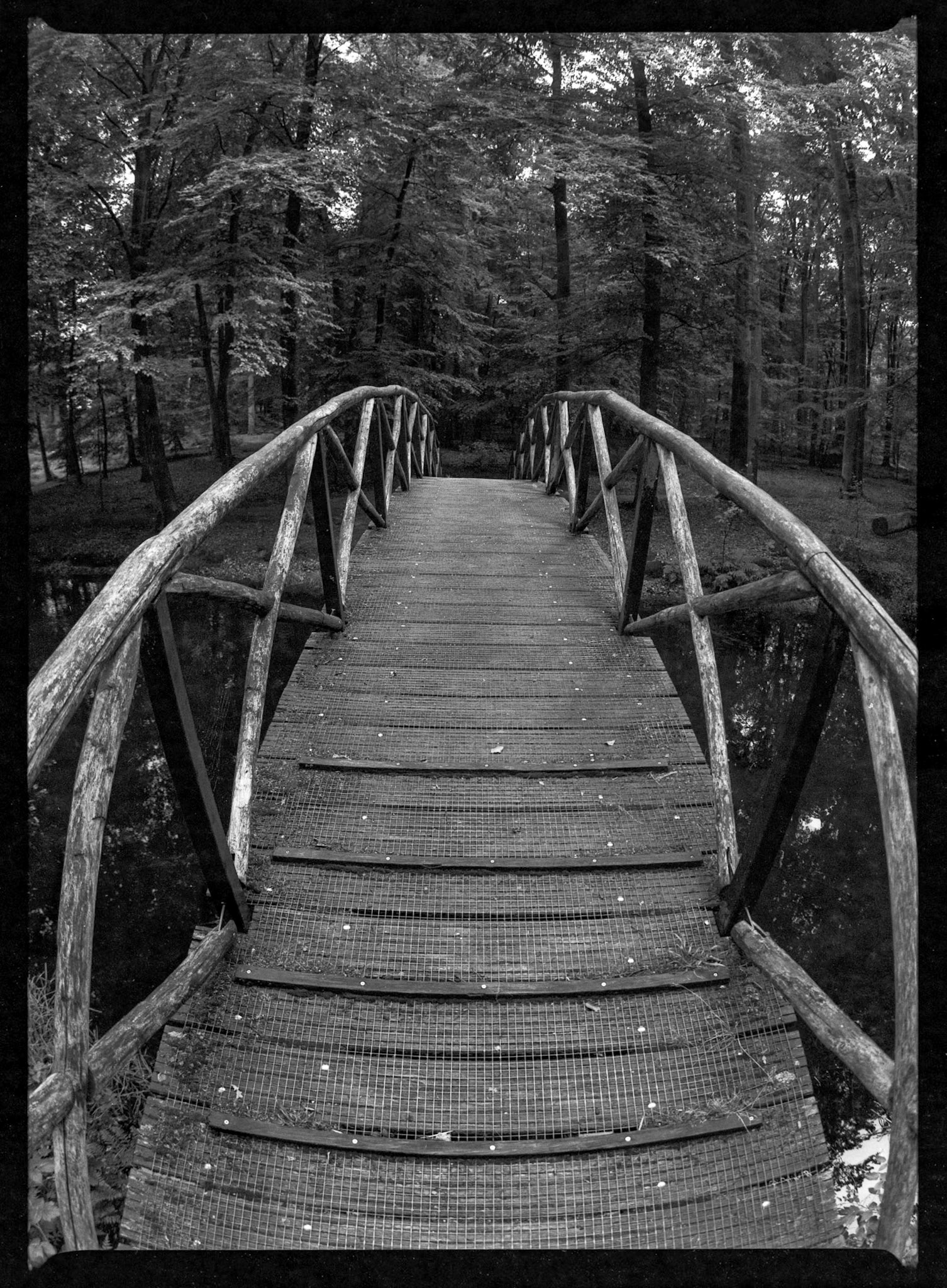 Zodiak-8 Fish-eye on Pentax 645