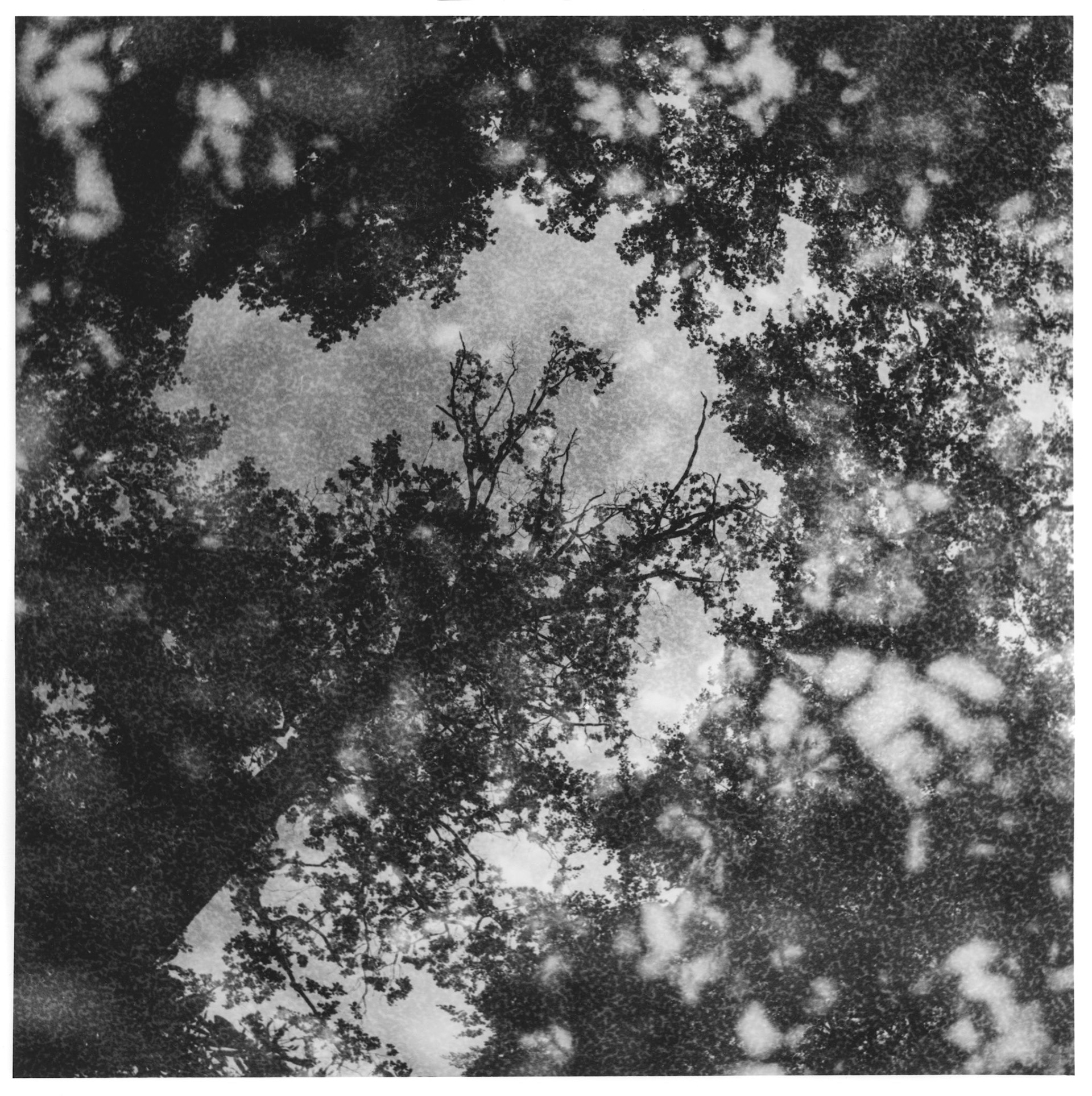 Nominated for Apeldoorn Photo Award
