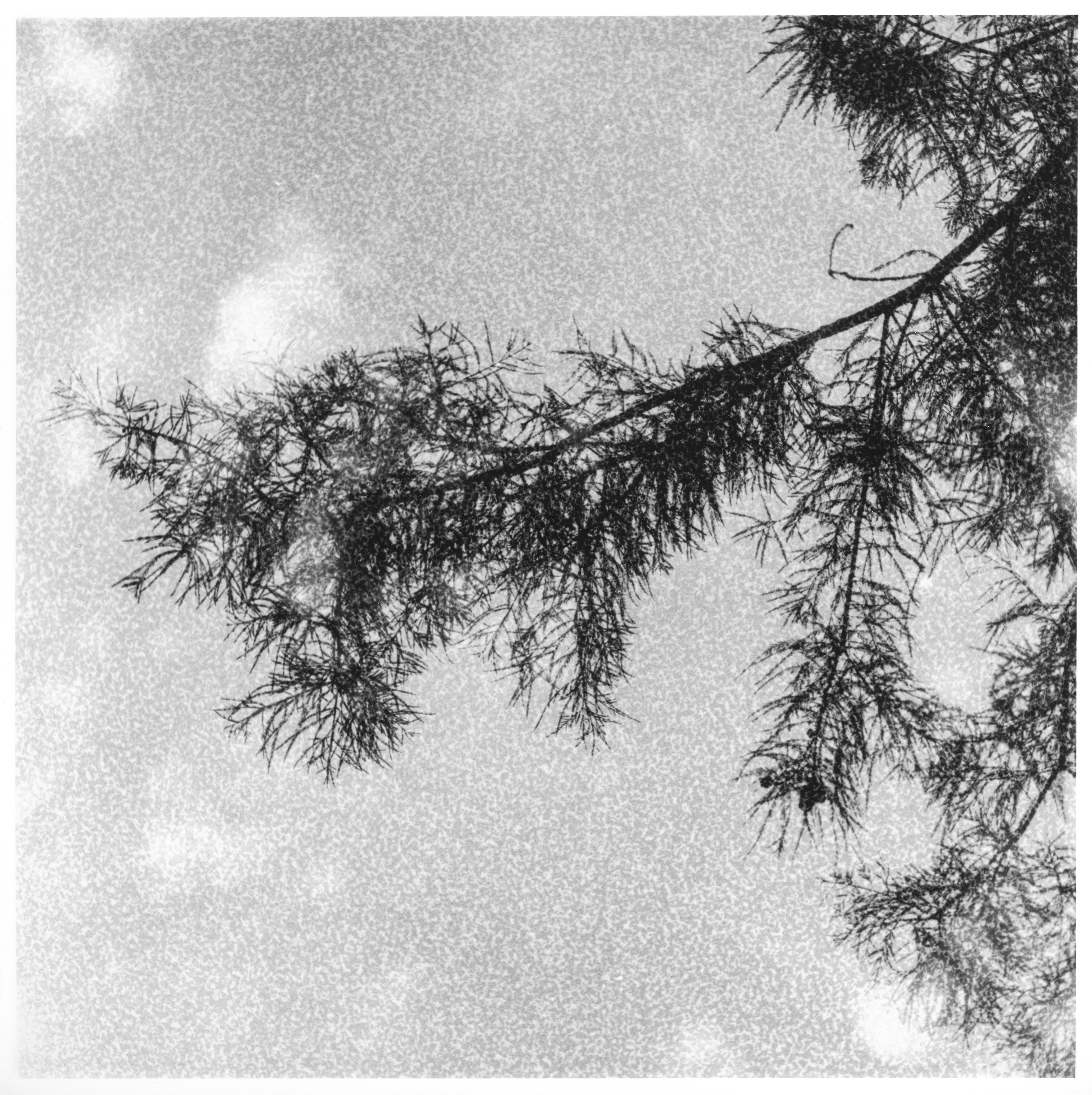 Silent witnesses - Storylines