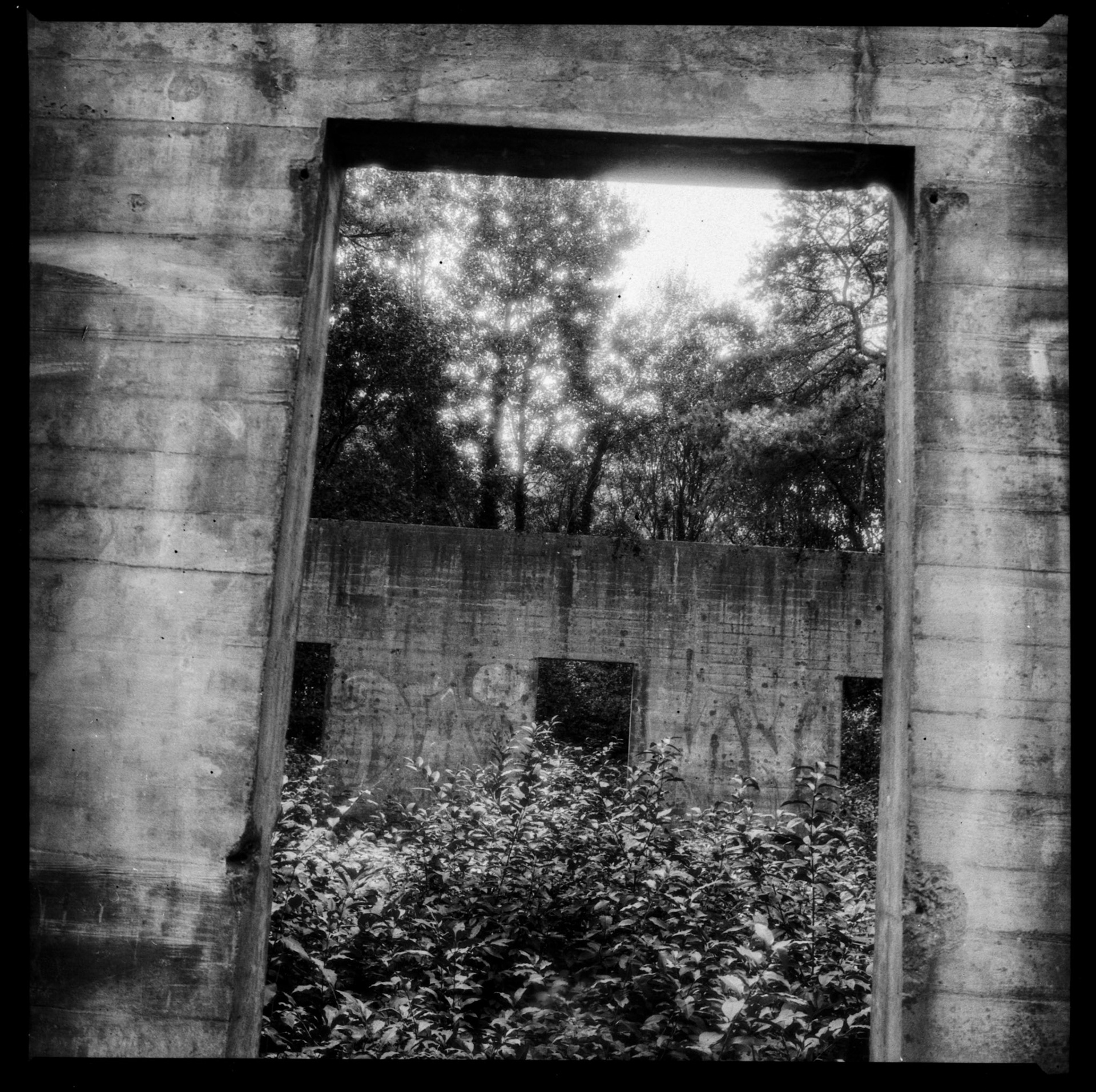 Abandonned shooting range