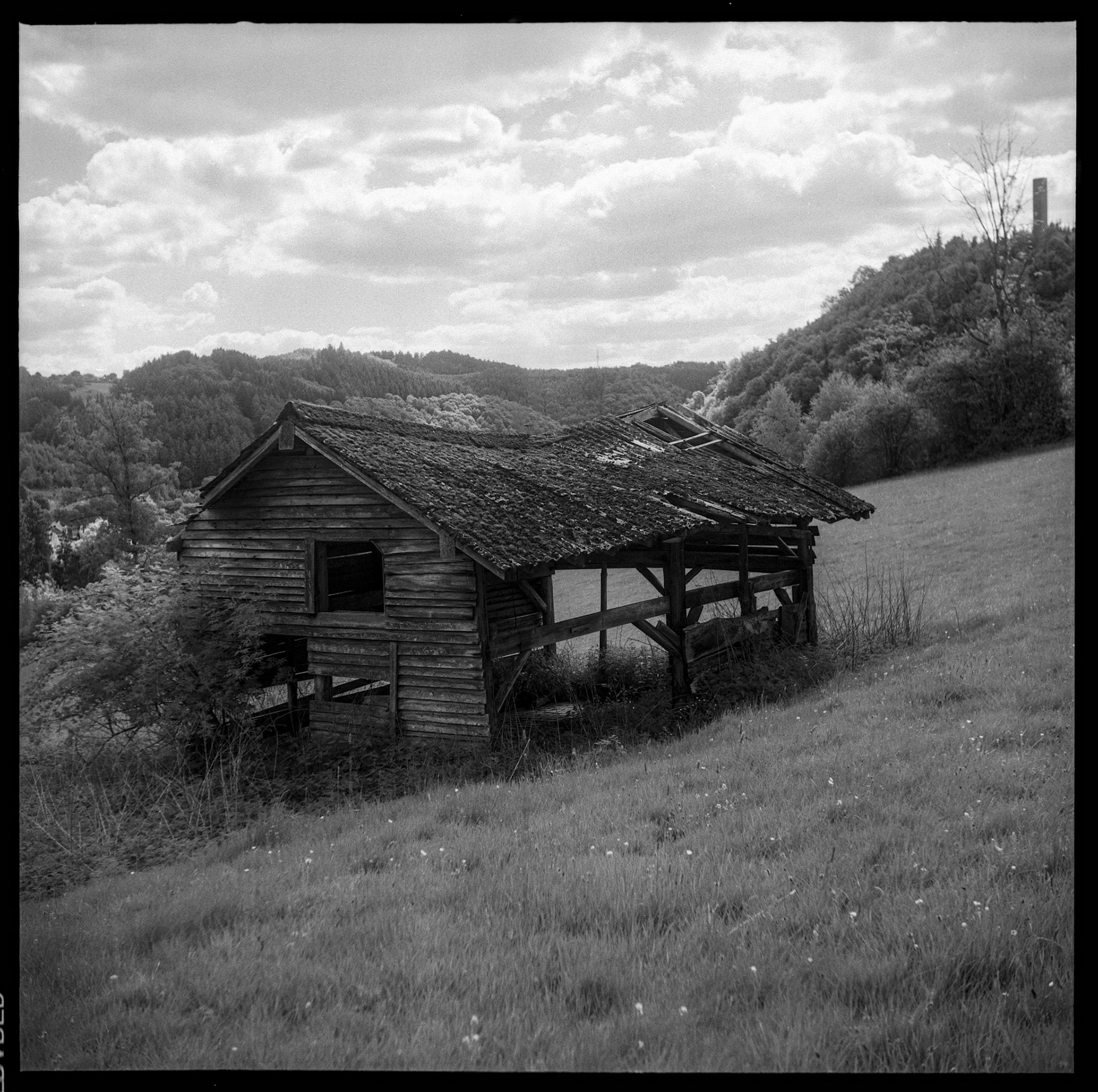 Old shed - Yashica D