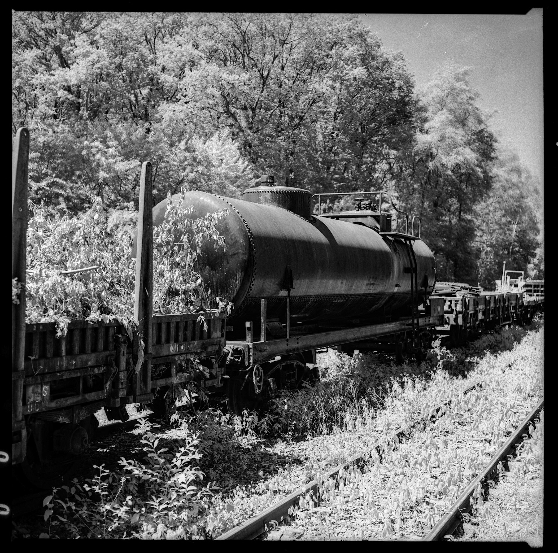 Abandoned trains - Kiev 88