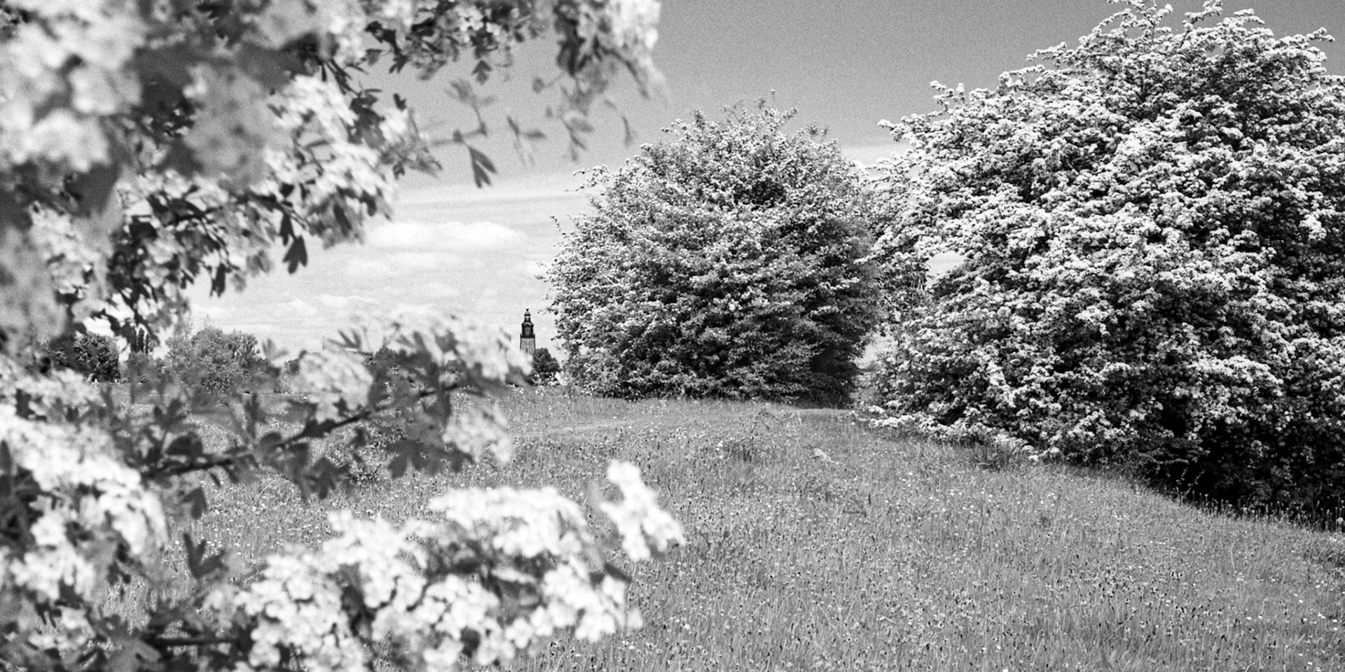 View on Zutphen (Horseman 985)