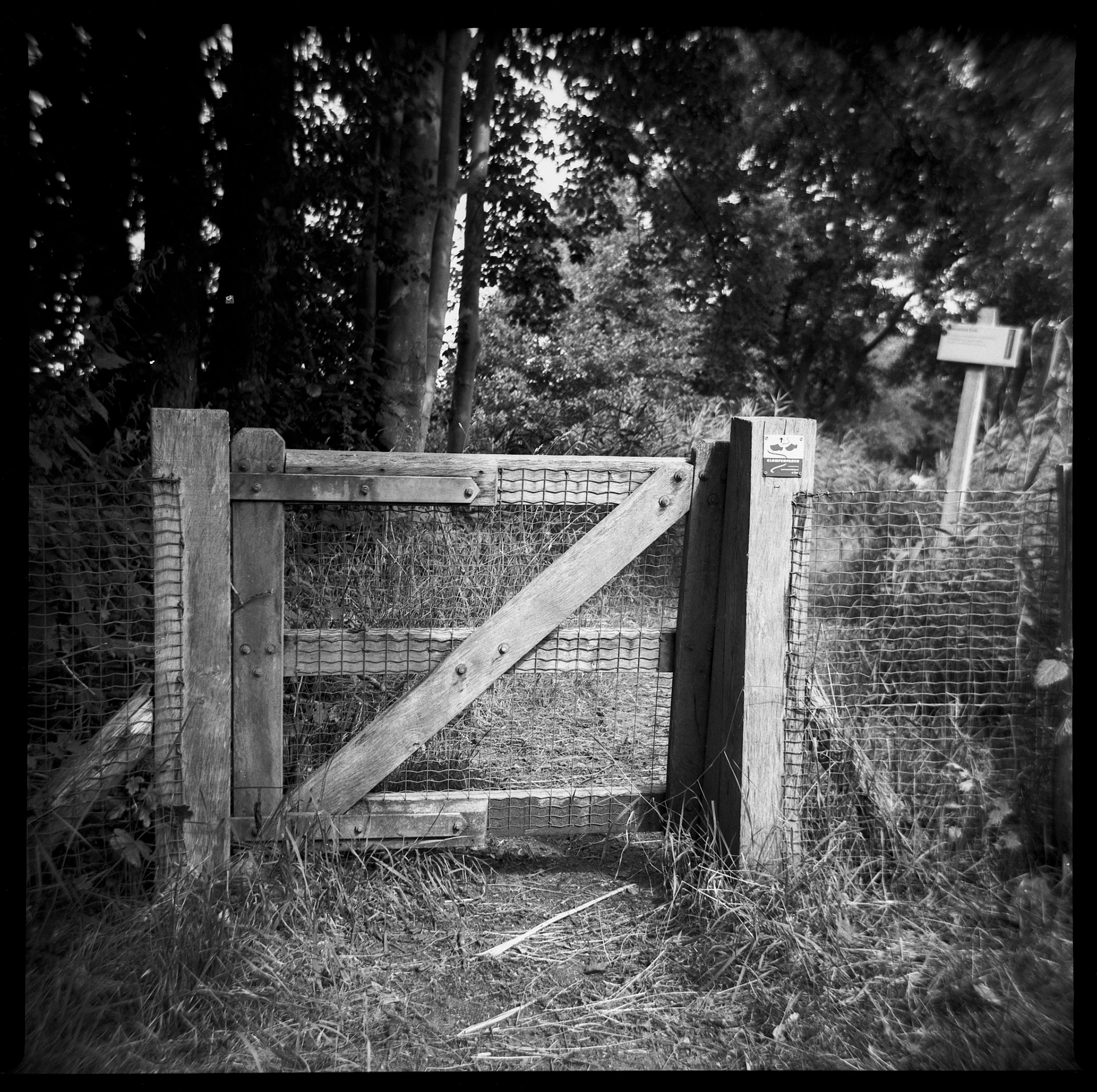 Photograph made with the Elioflex 2 vintage film camera