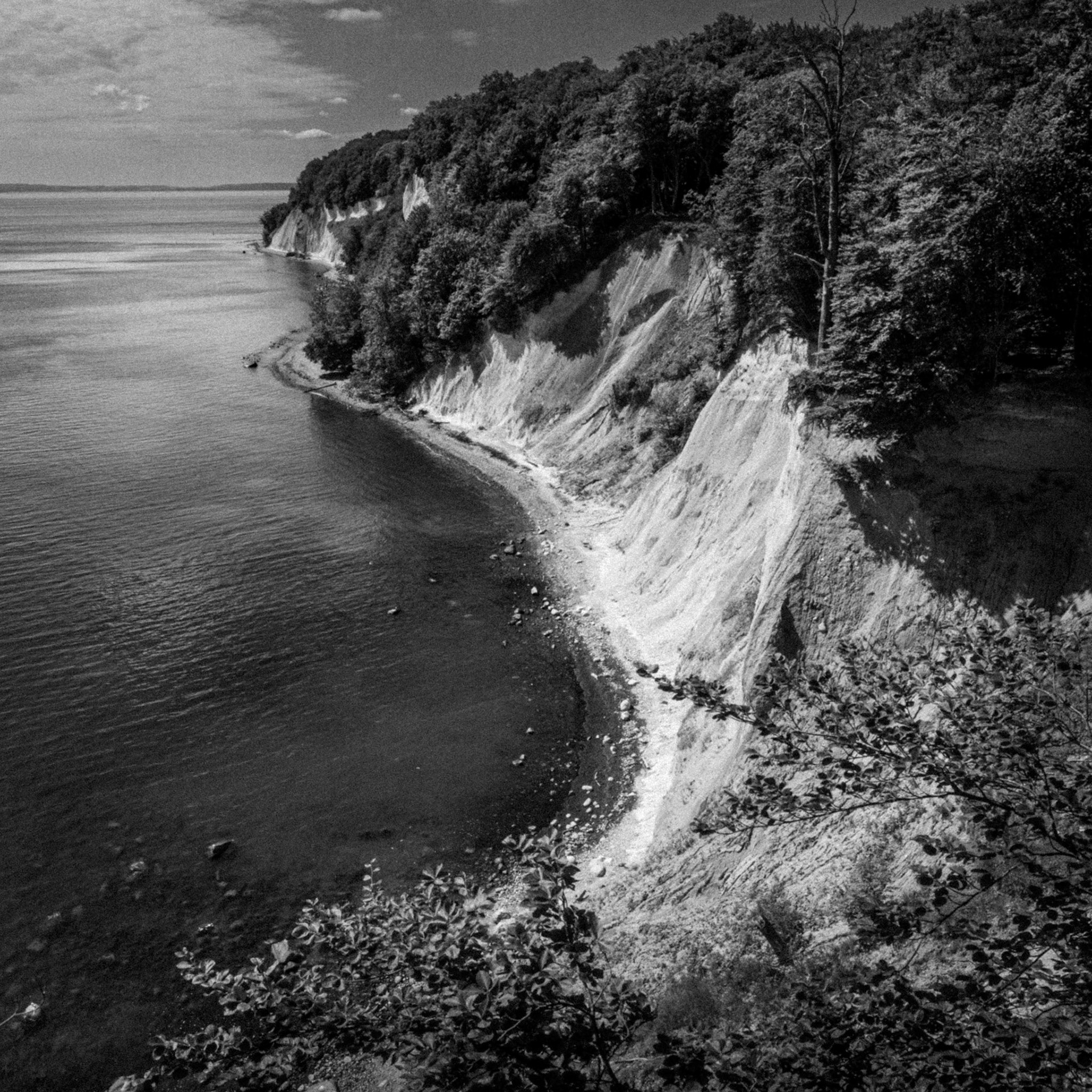 Rügen coastline
