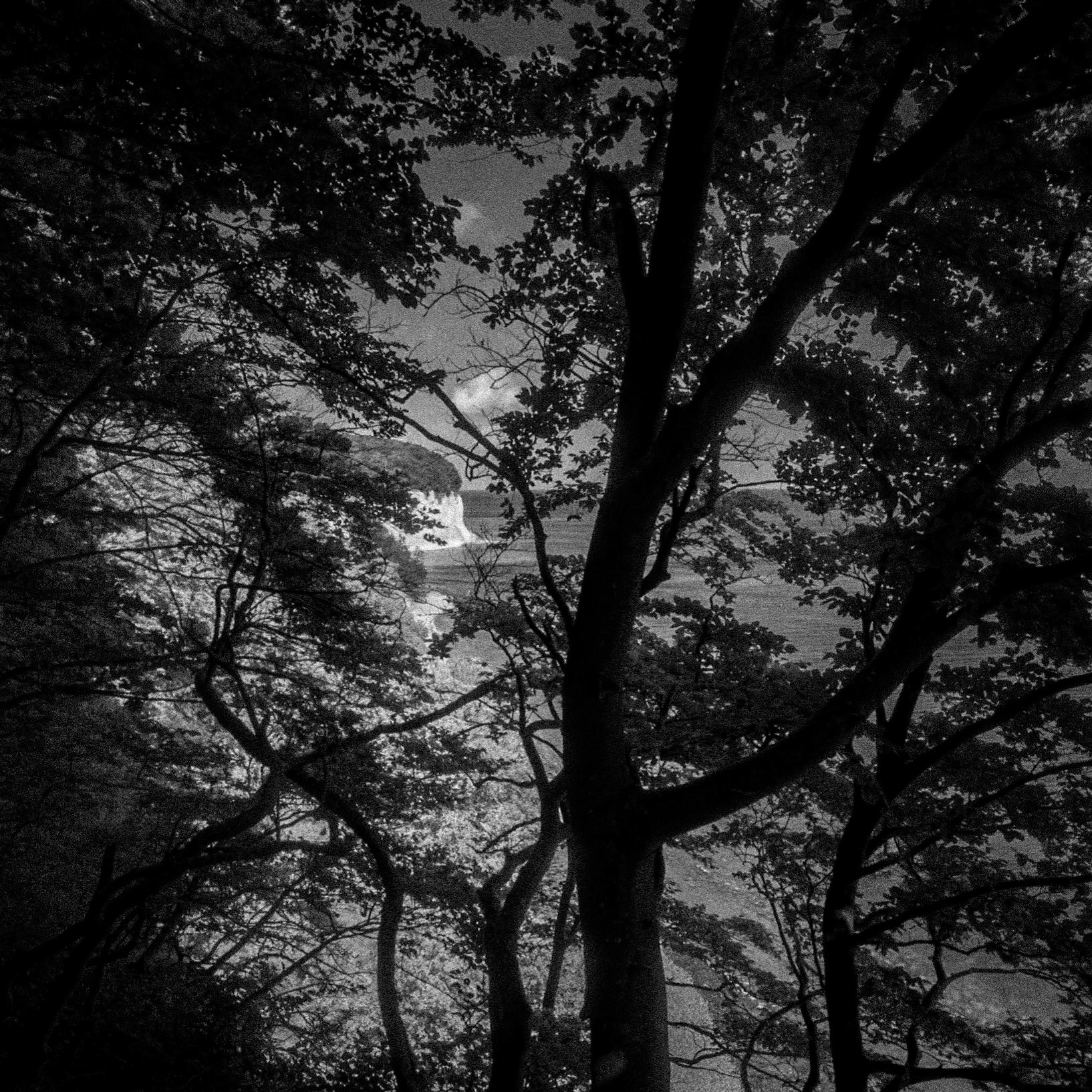 Shilouettes and coastal view