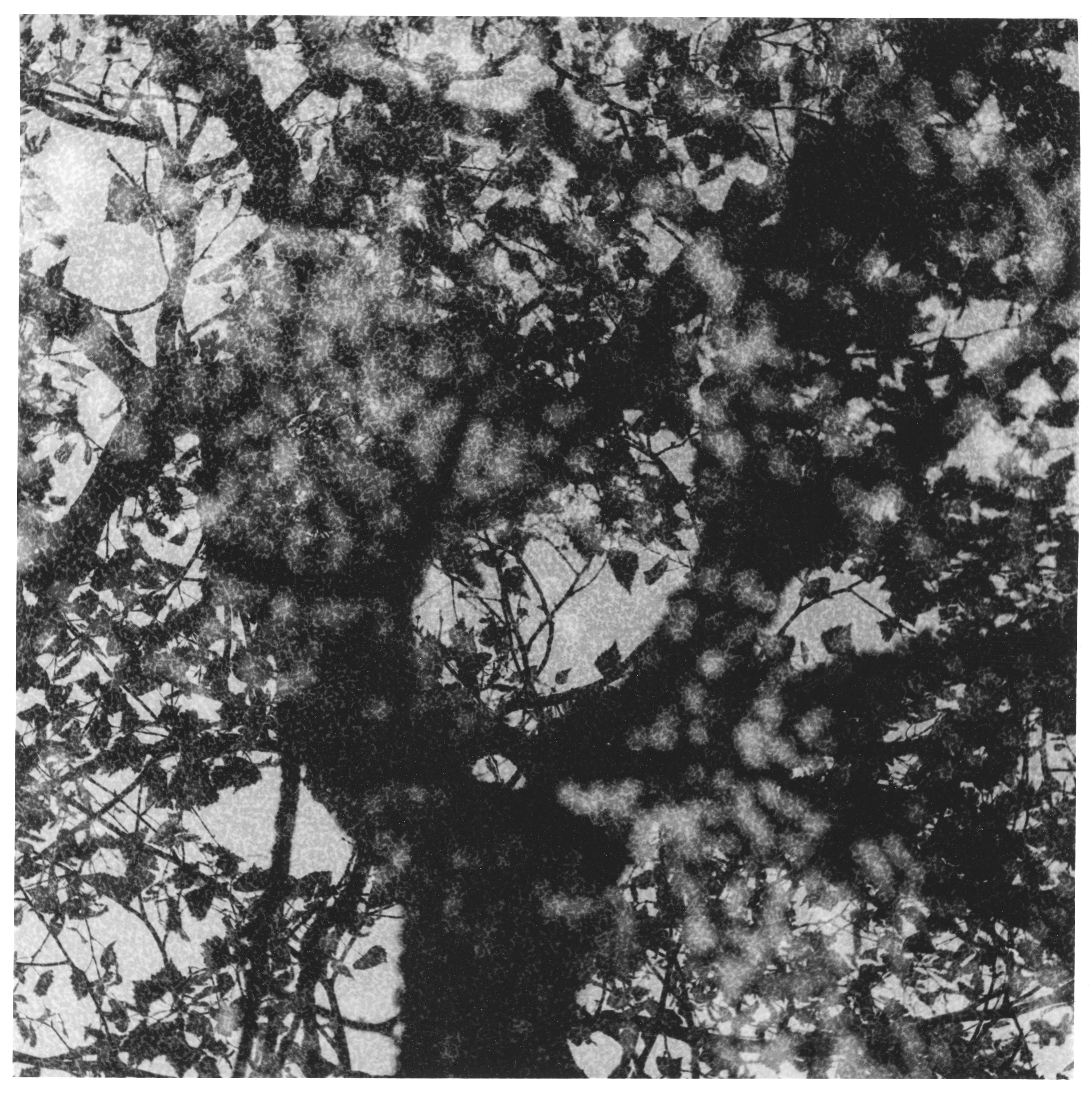 Silent witnesses - Tales of past