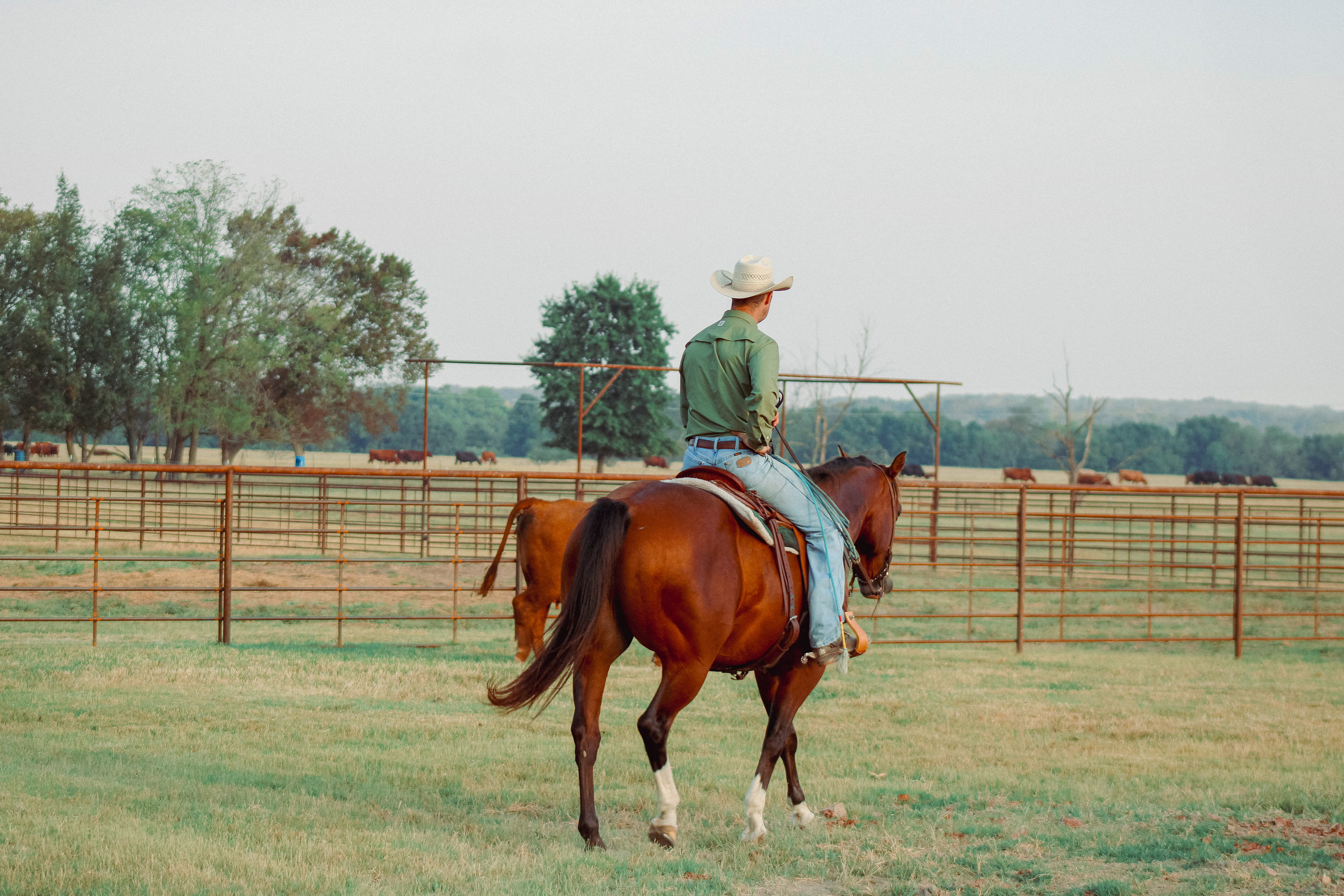  Mathias Ranch digital marketing asset — photography — by Christian Bedingfield