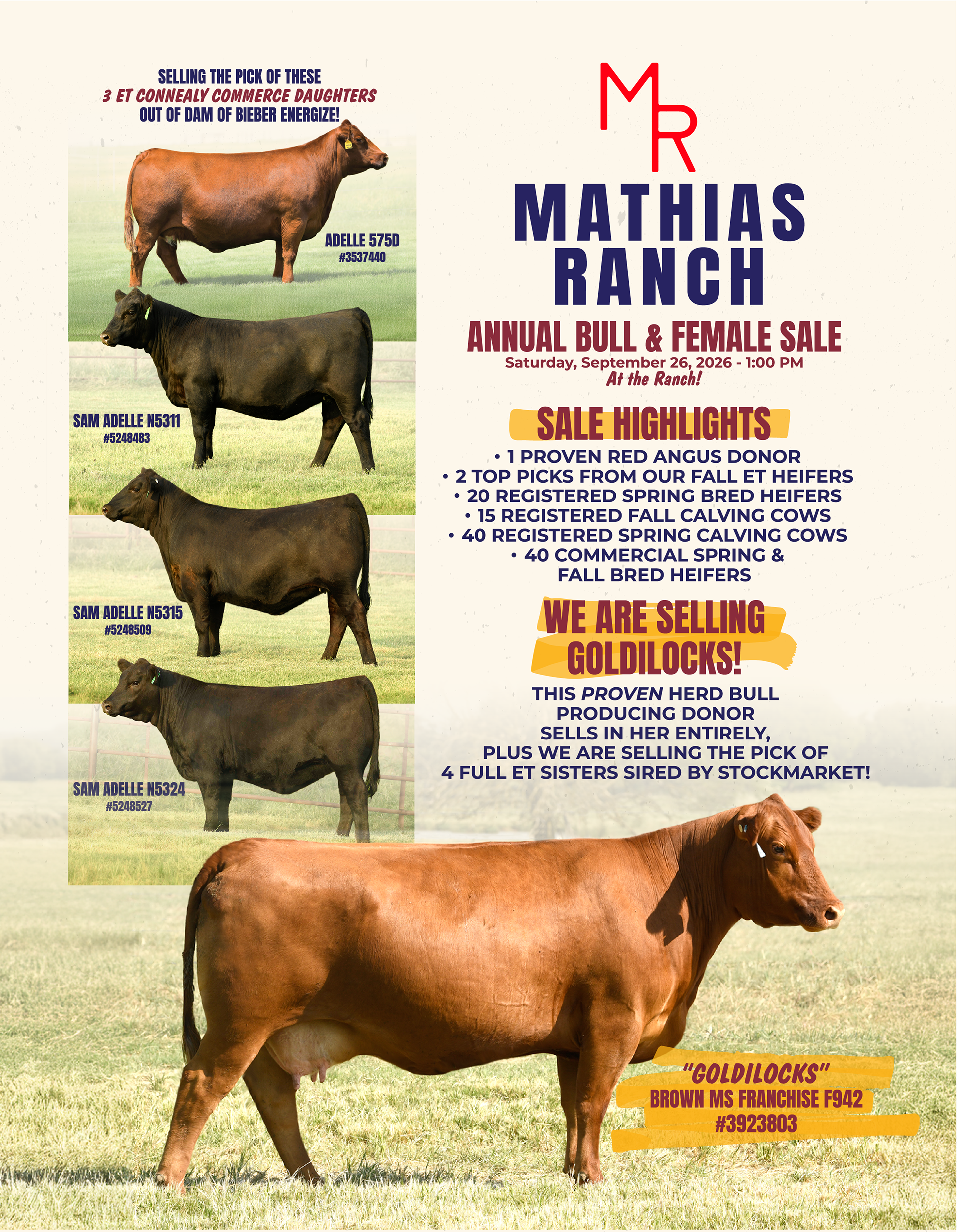 Mathias Ranch print design — branded marketing material — designed by Christian Bedingfield
