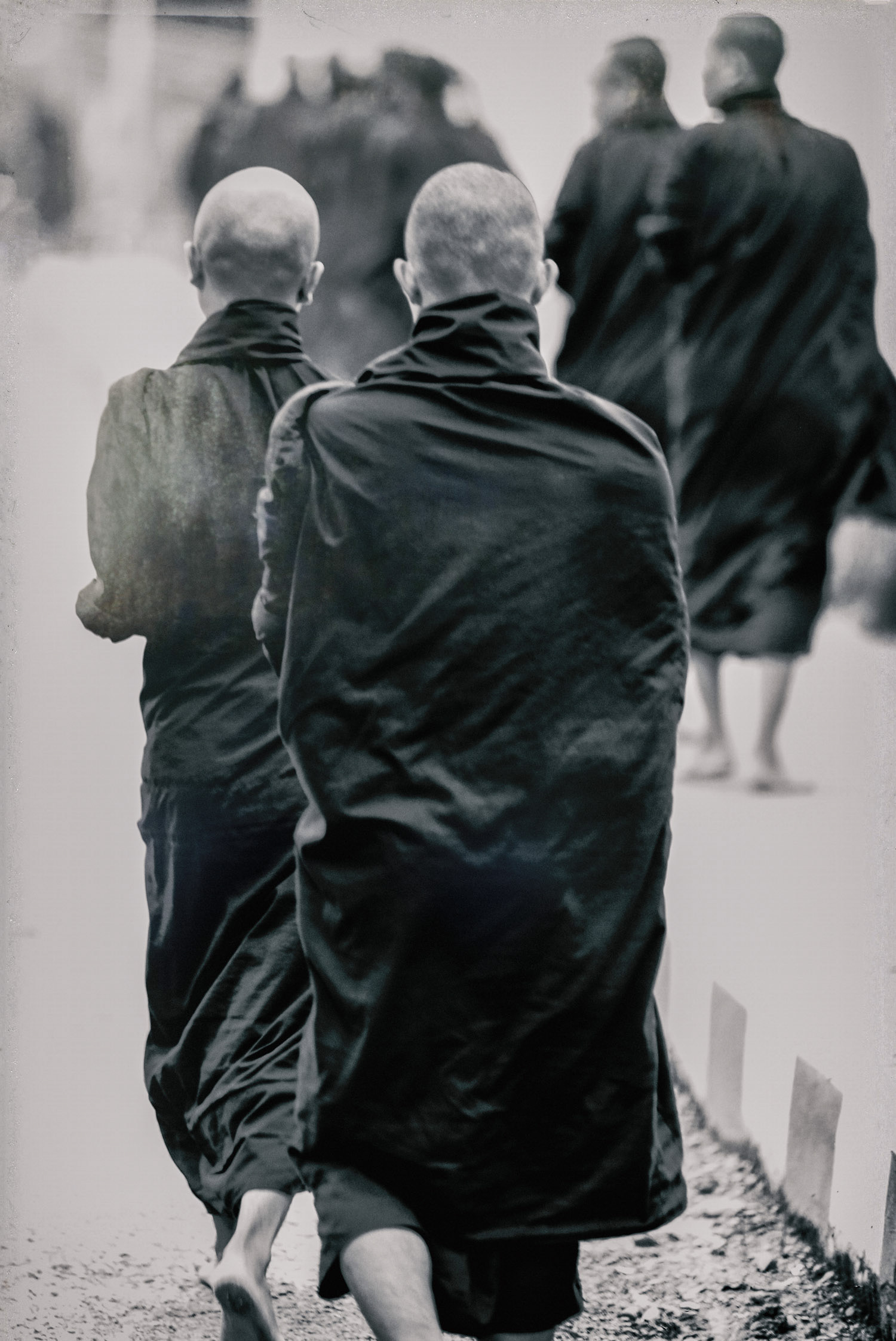 Monks Myanmar 10 by Sven Pfrommer