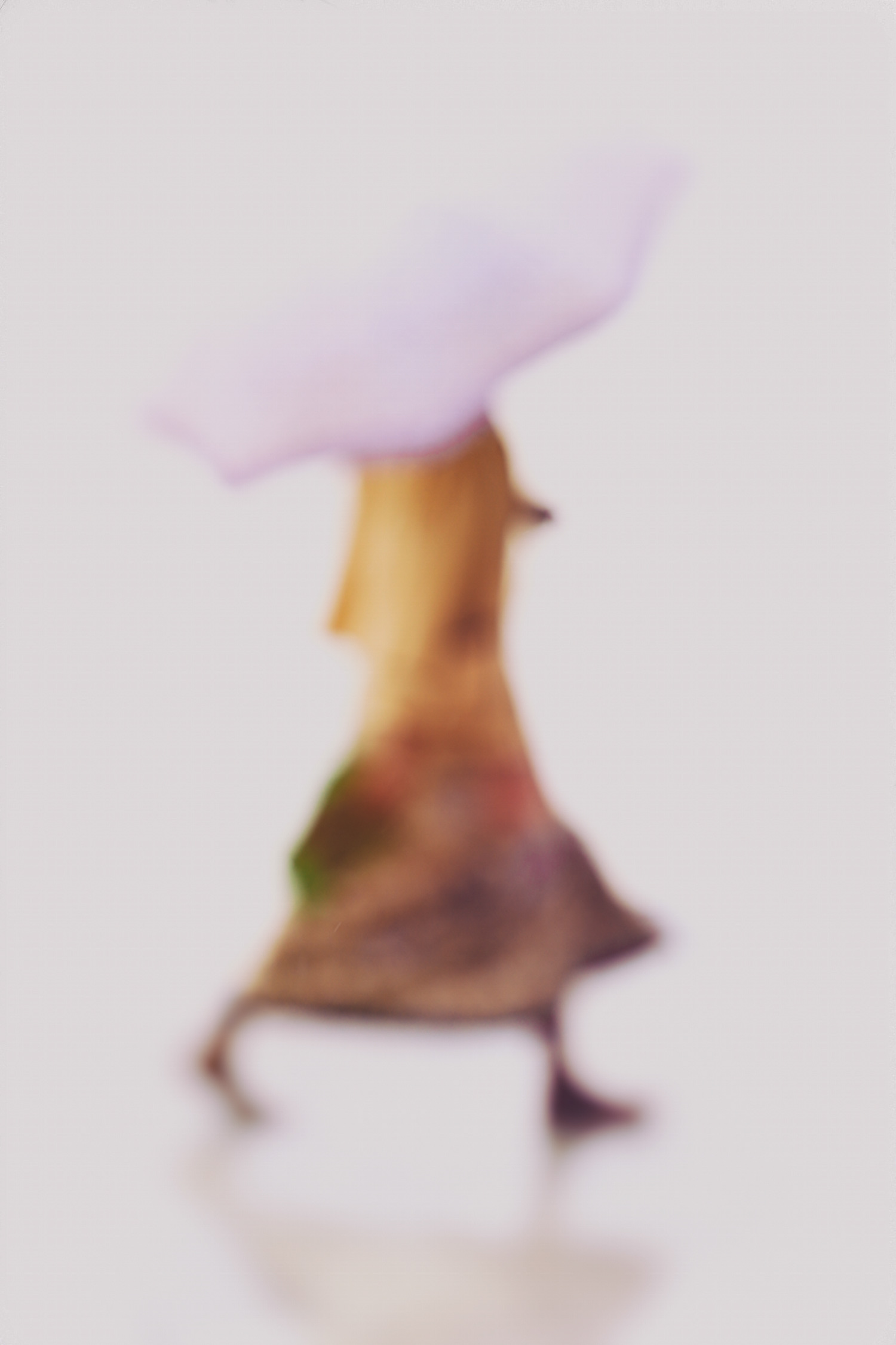 WATCHTOWER MYANMAR 9