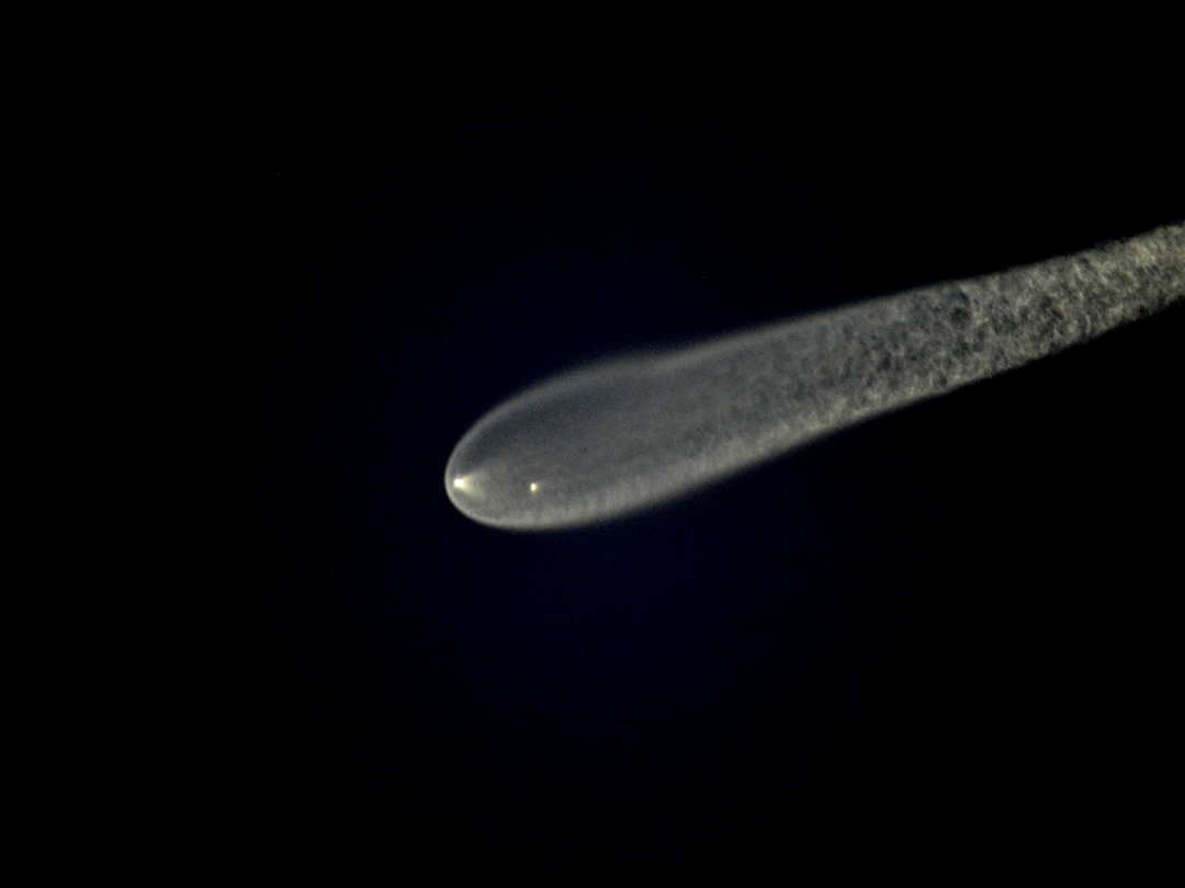 rocket launch • ormond by the sea, FL