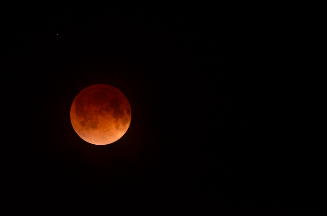 PARTIAL LUNAR ECLIPSE • ORMOND BY THE SEA, FL