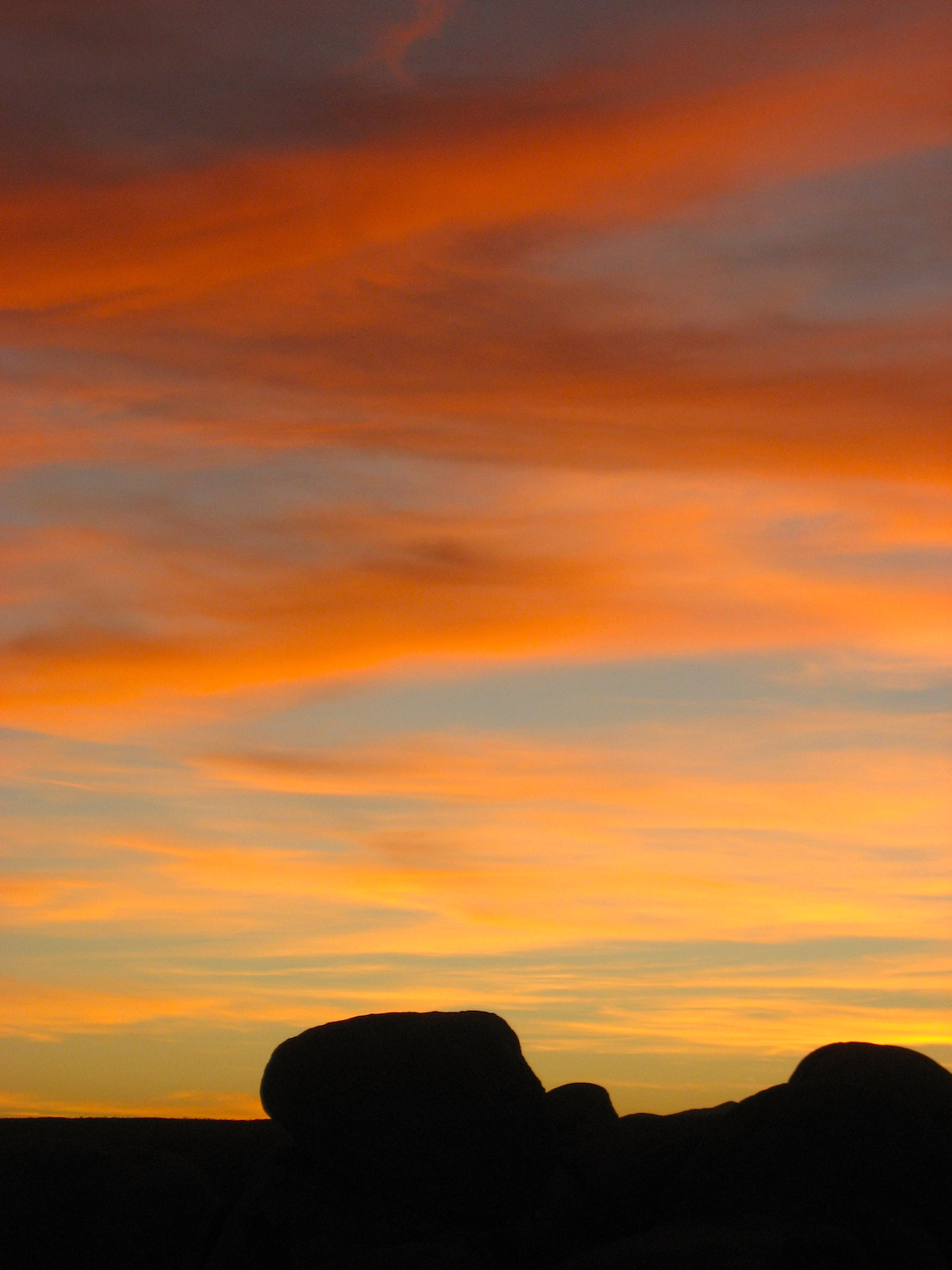 JOSHUA TREE SUNSET