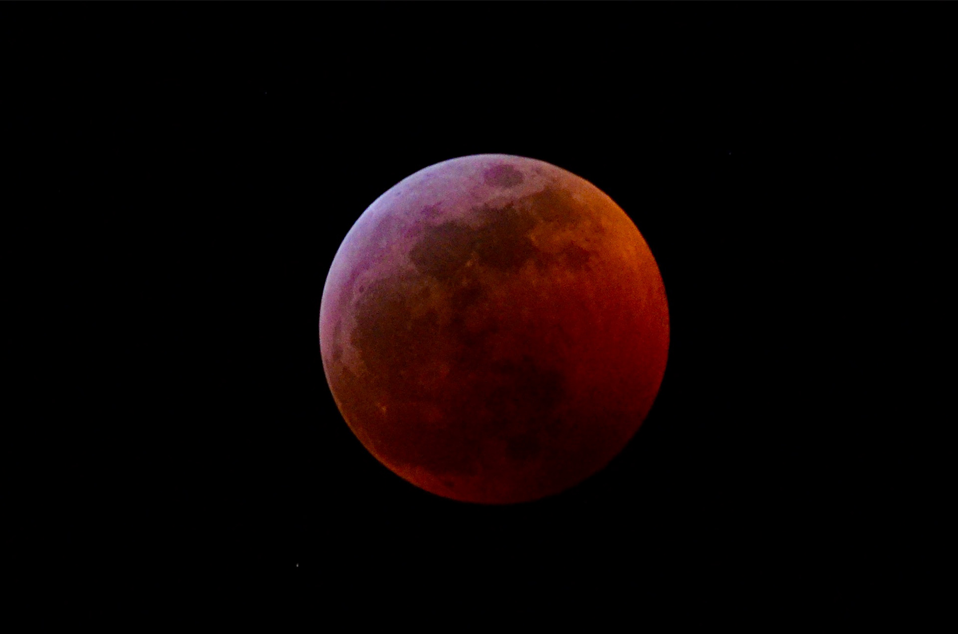 lunar eclipse • Ormond by the sea, fl