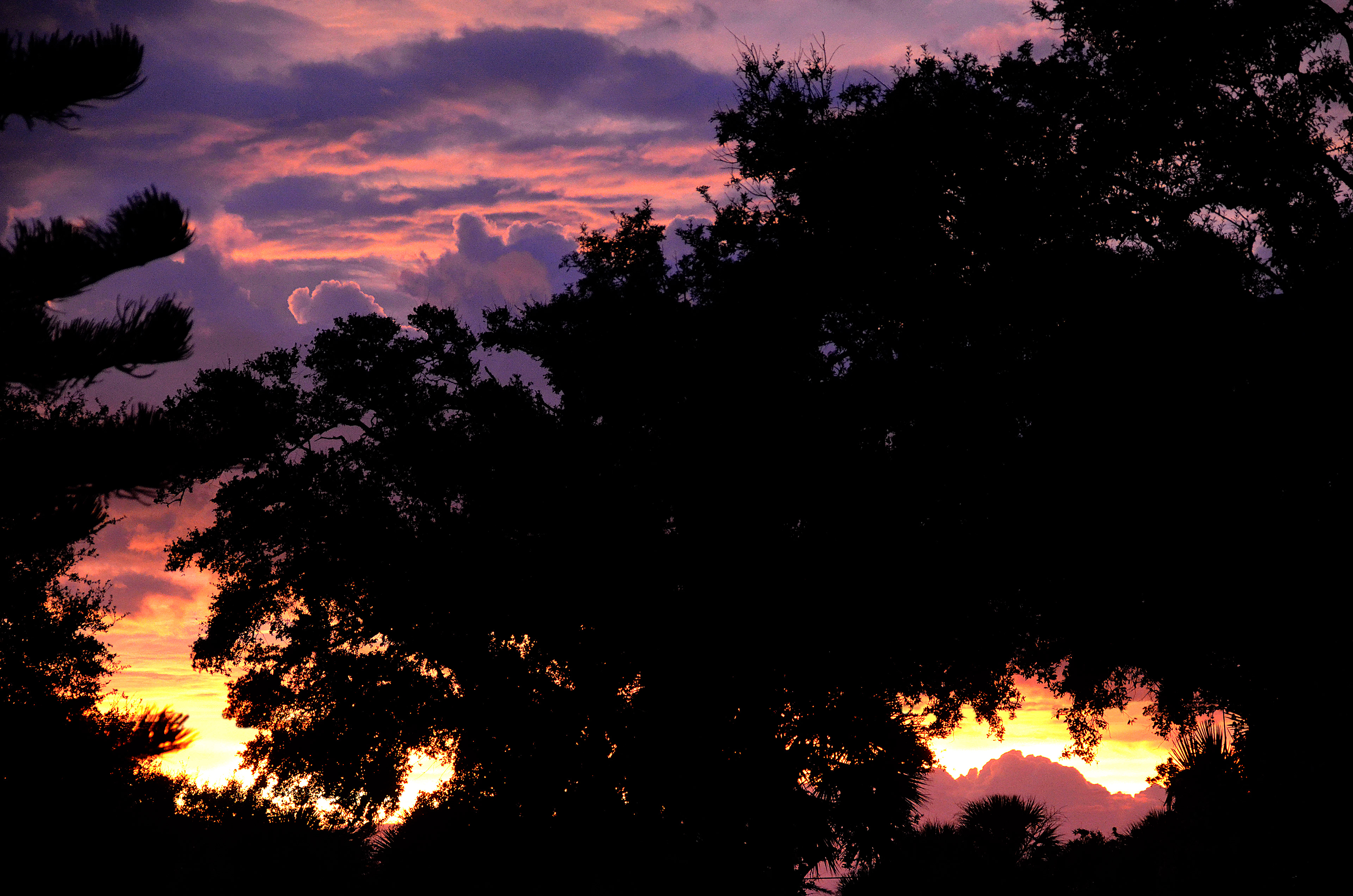 SUNSET NIGHT BEFORE DORIAN