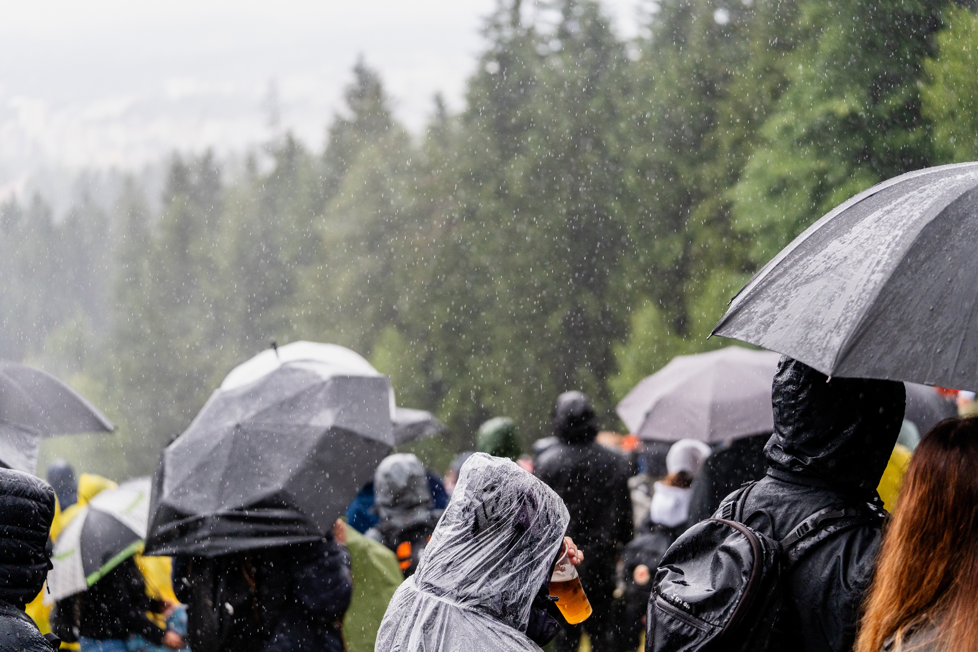 JBC 4X Revelations 2025