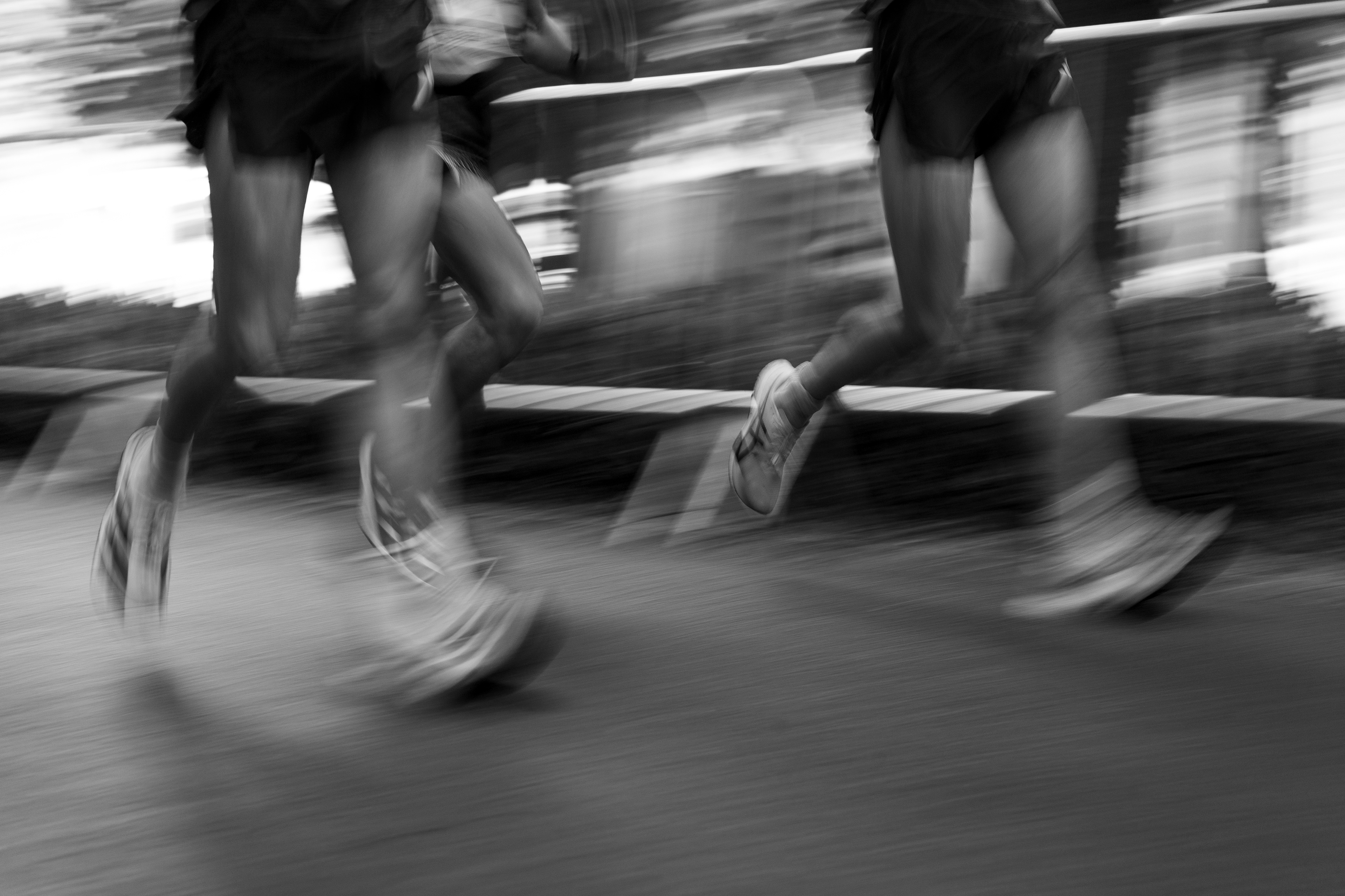 Poděbrady walking 2025