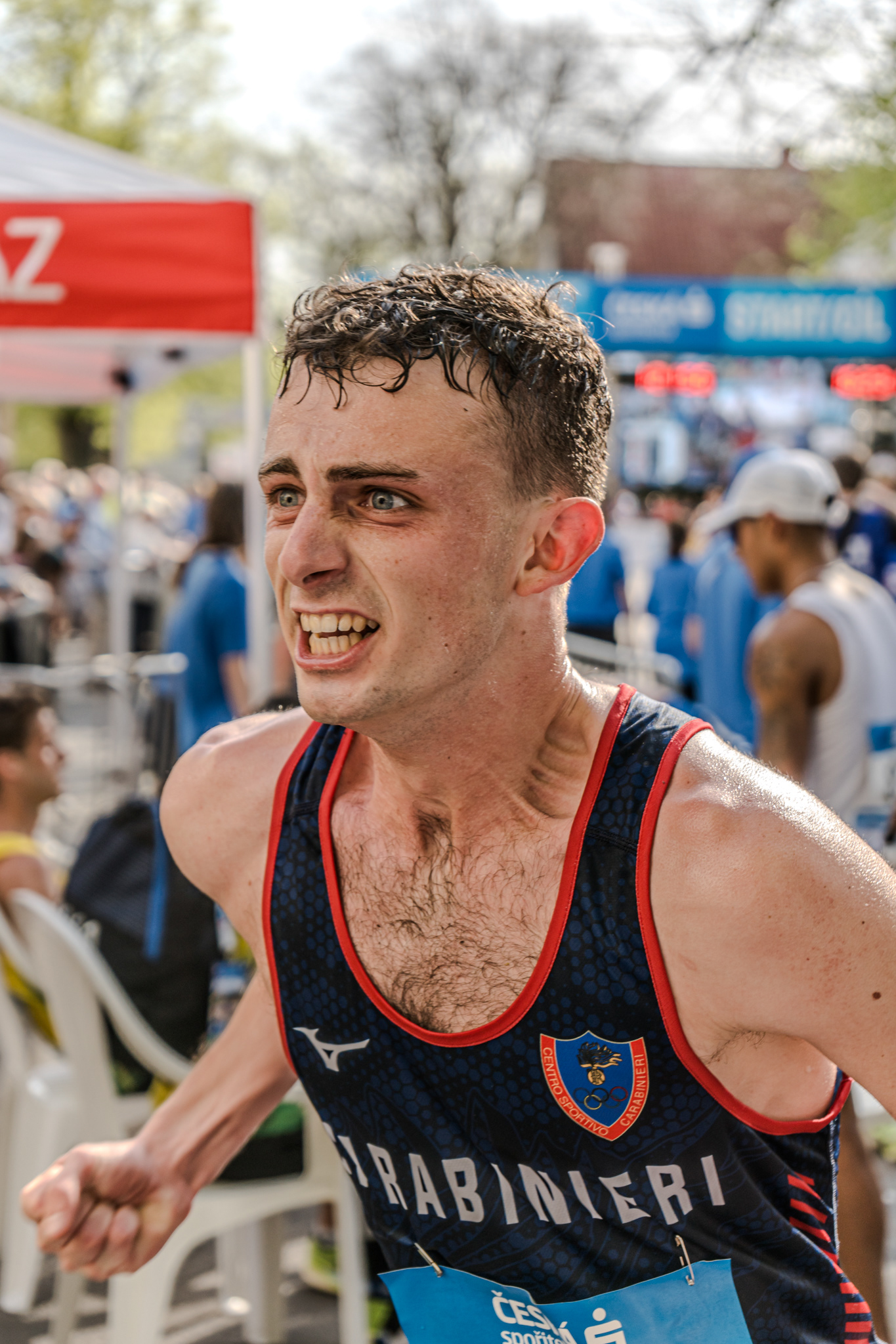 Poděbrady walking 2024