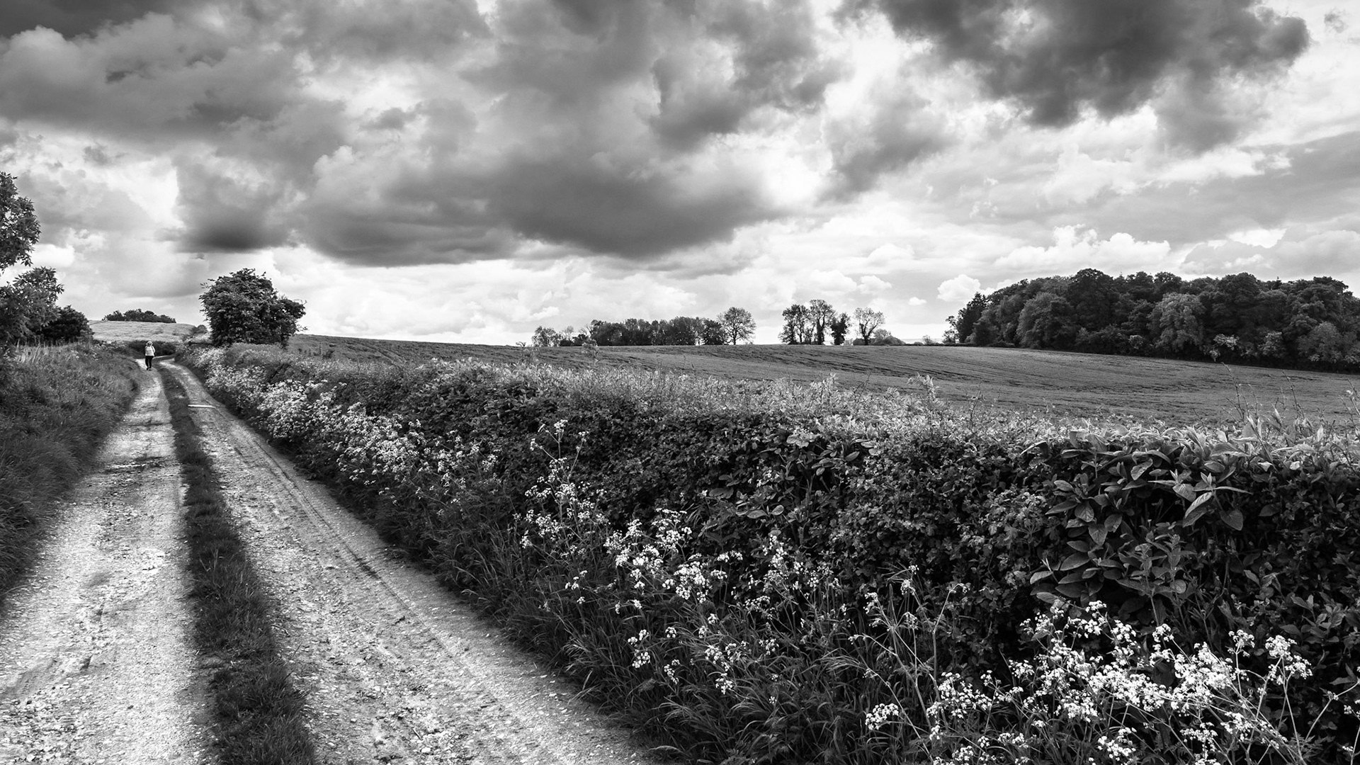 The path to you