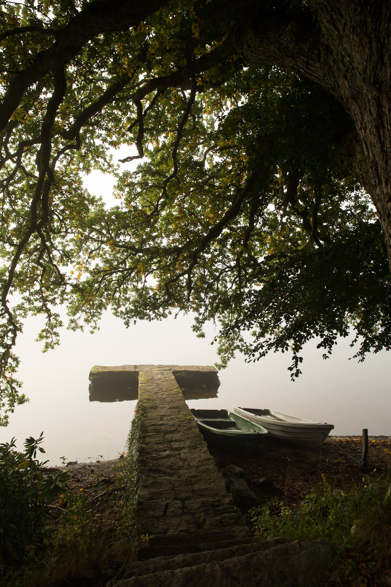 Dock to a lake on a foggy day in Scotland.
