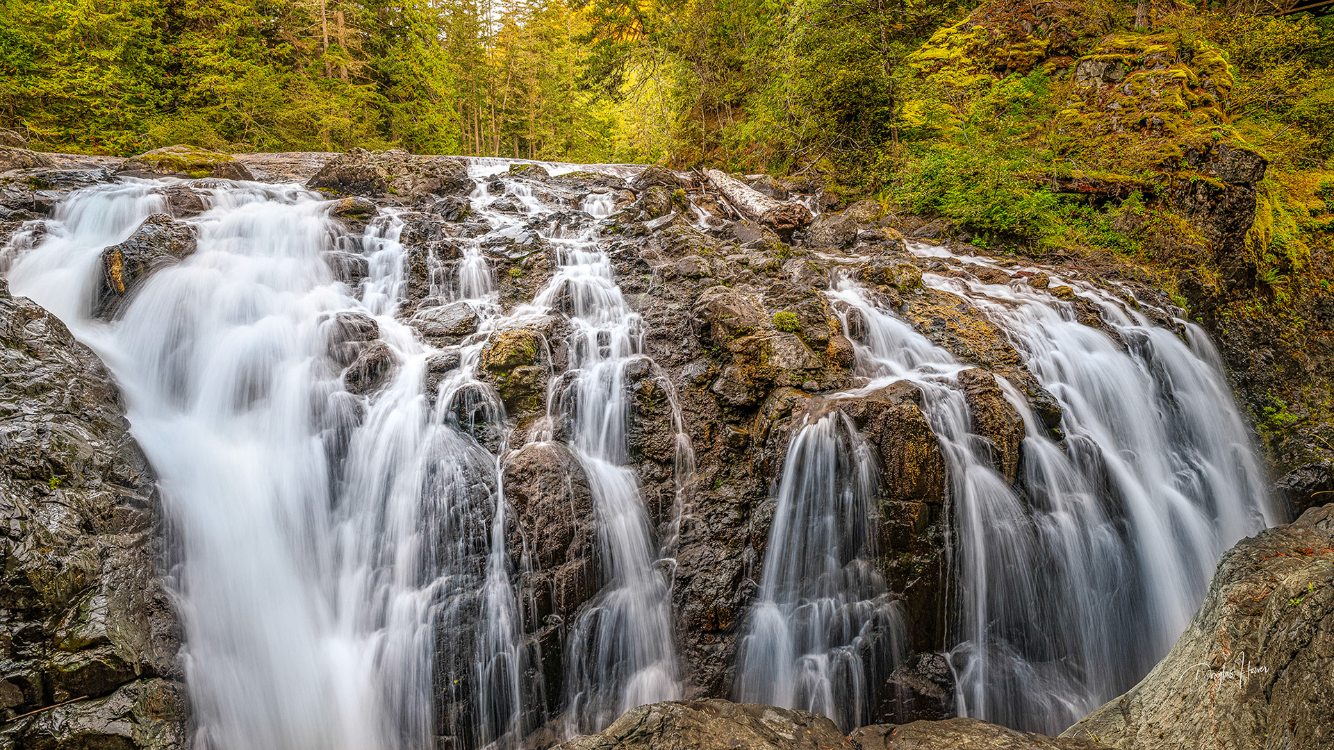 Englishman River Falls