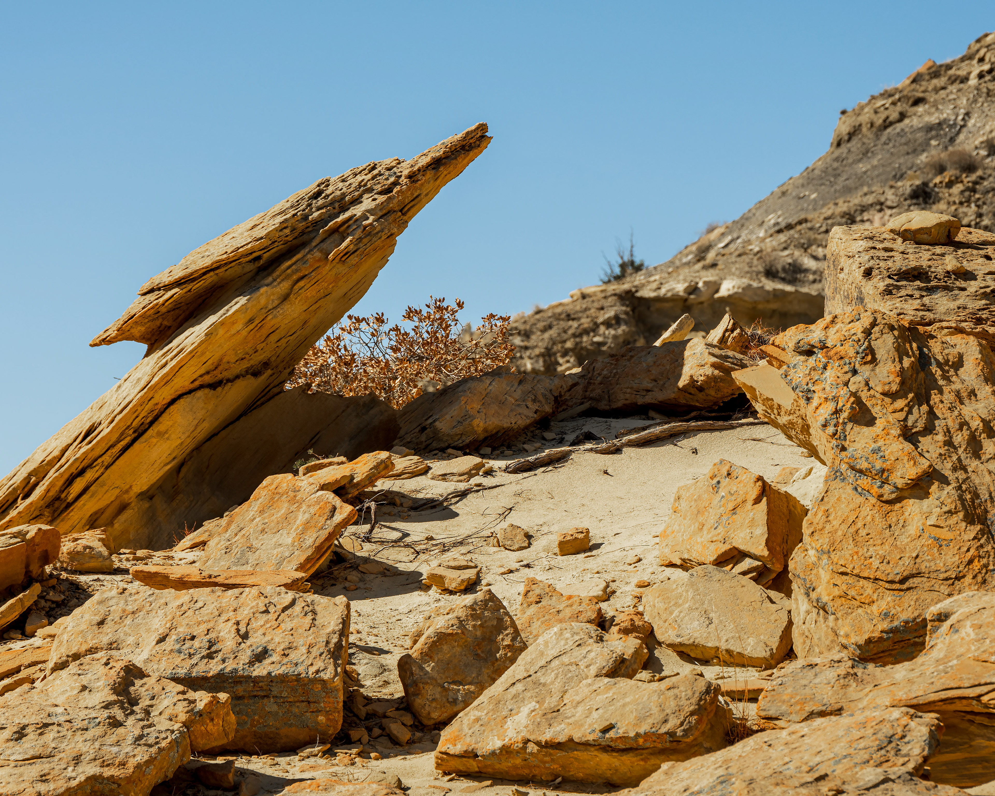 #3 roadrunner rock