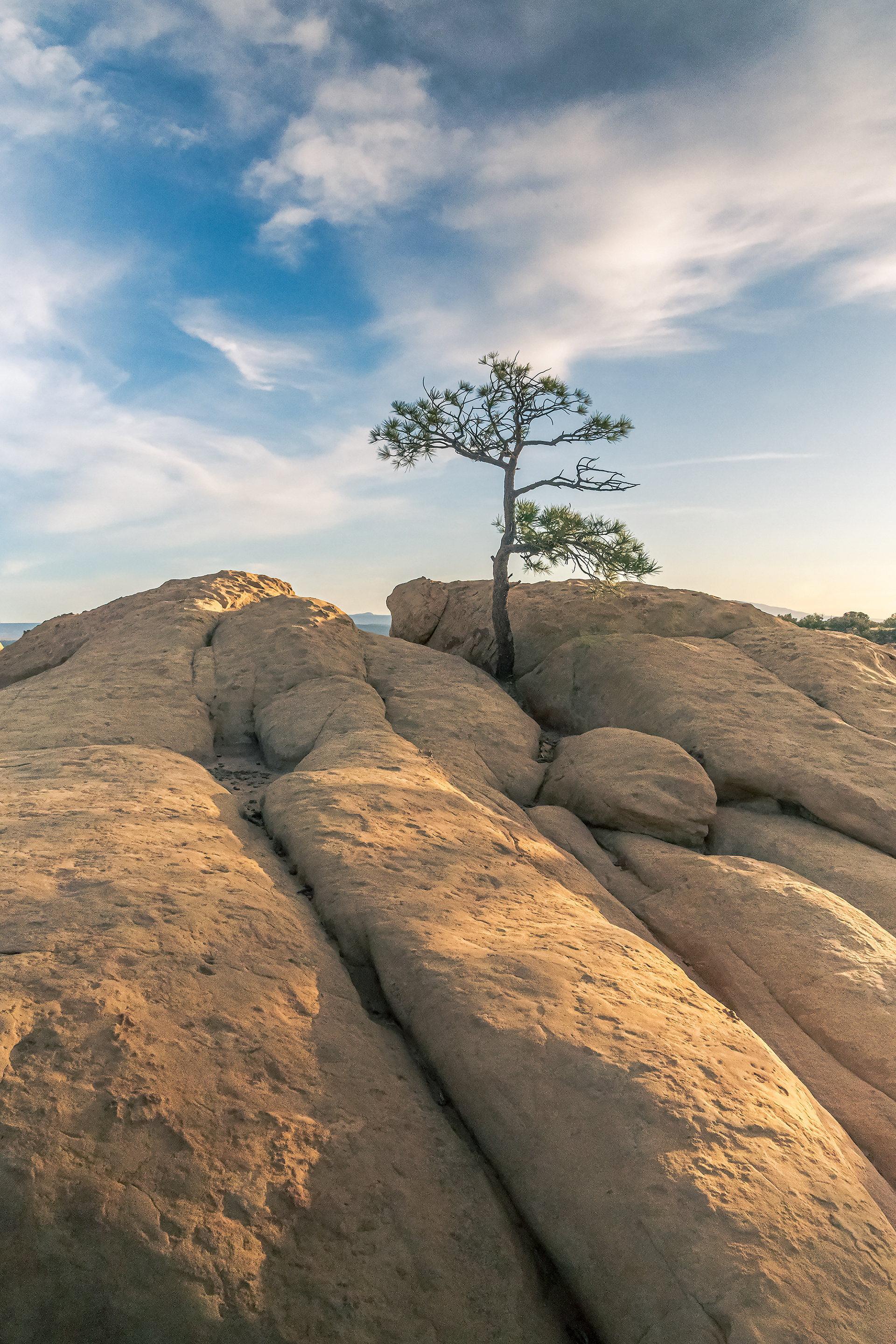#8 Lone Tree Sandstone Bluffs