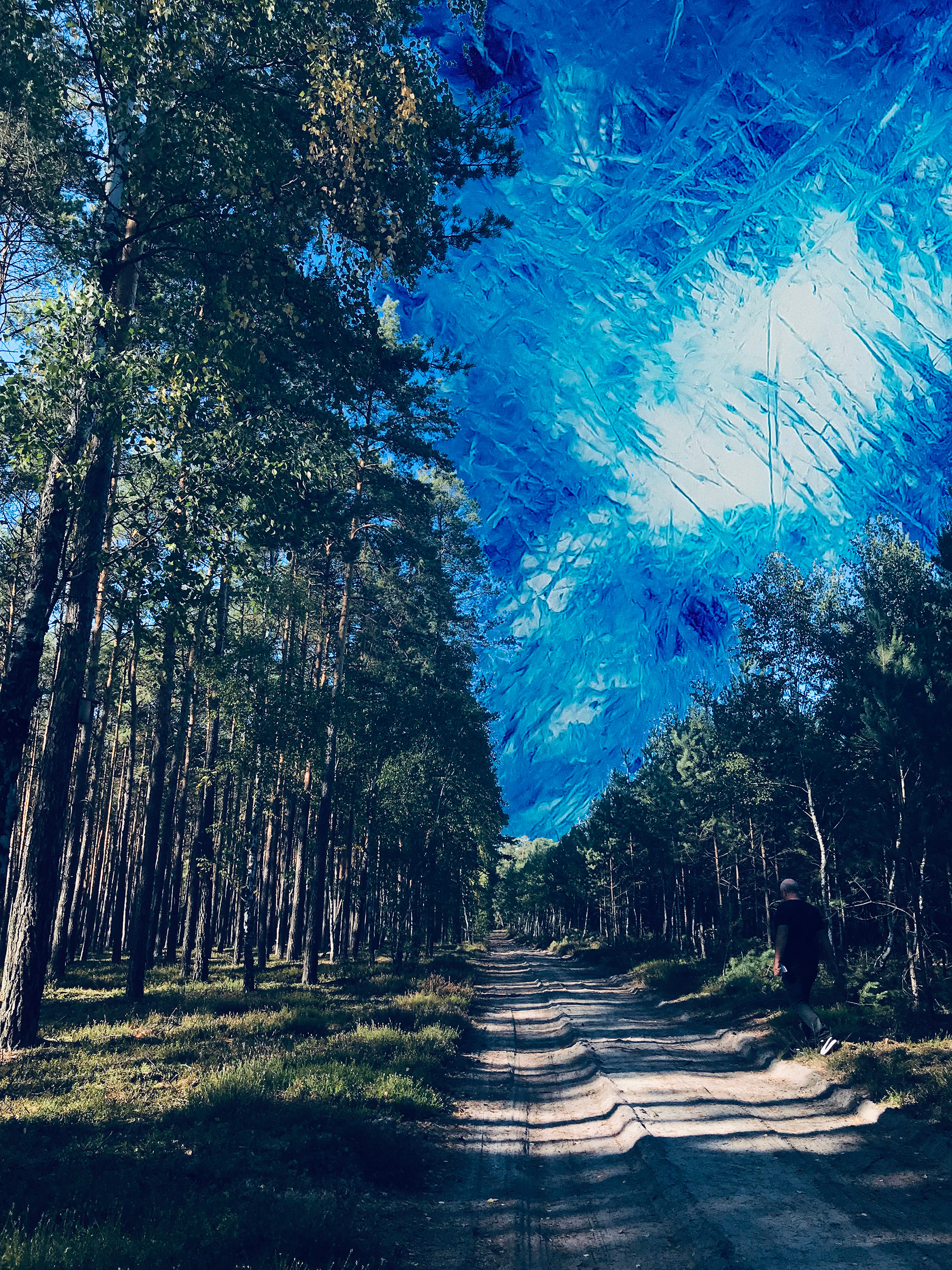 Image: Poland. 2019.