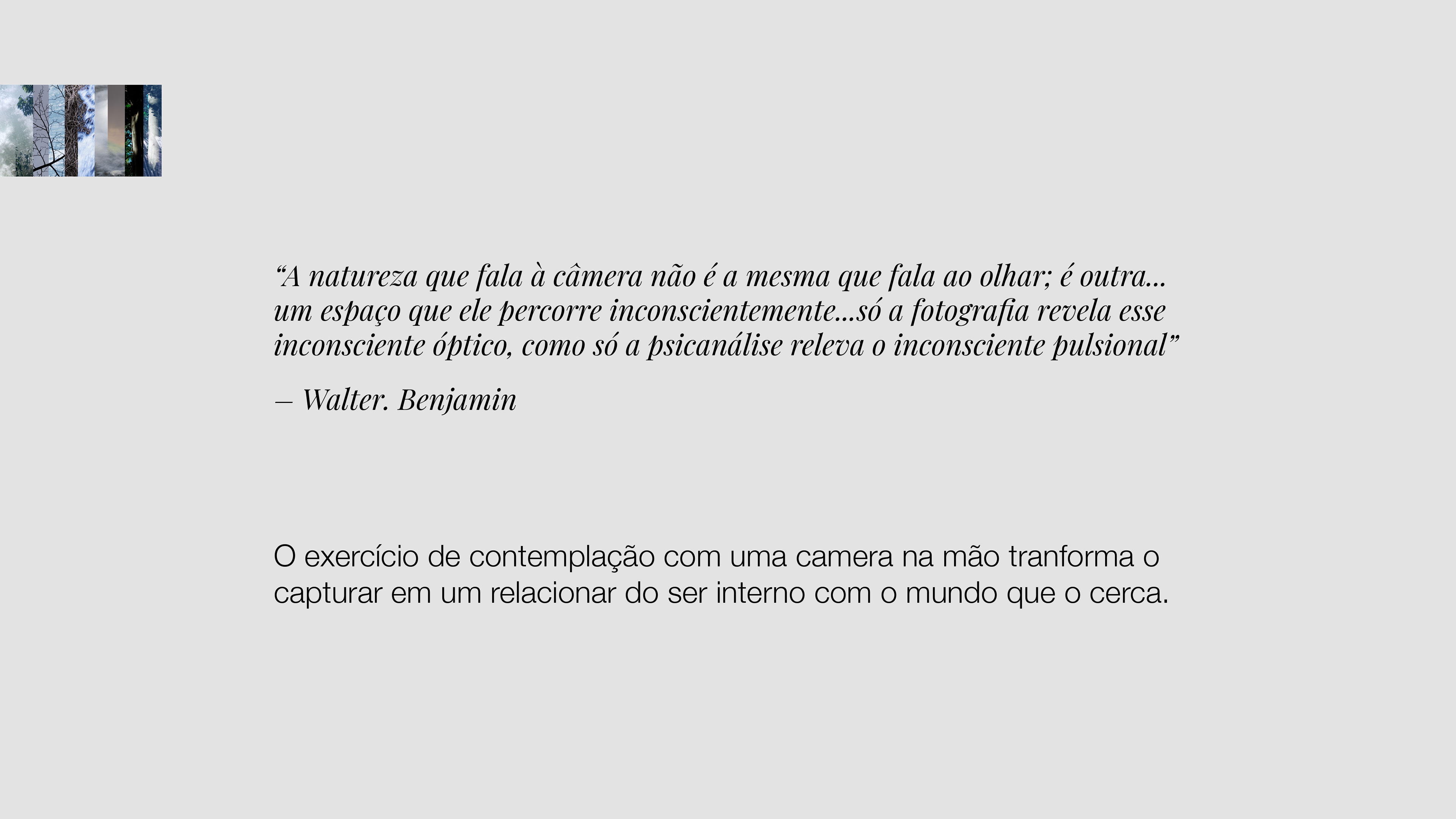 The exercise of contemplation with a camera in hand transforms the act of capturing into a way of relating the inner self to the world around it.