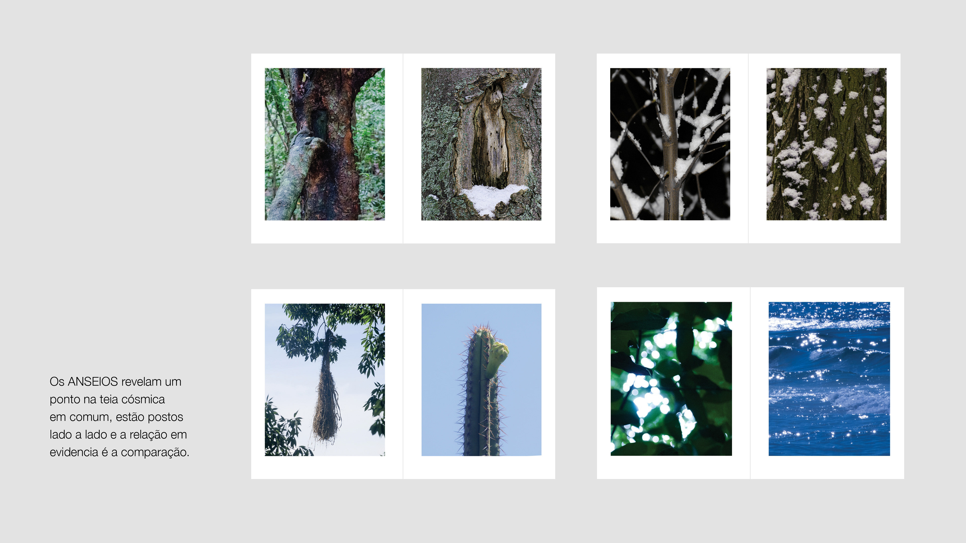 The LONGINGS reveal a shared point in the cosmic weft, they are placed side by side, and the relationship highlighted is comparison.