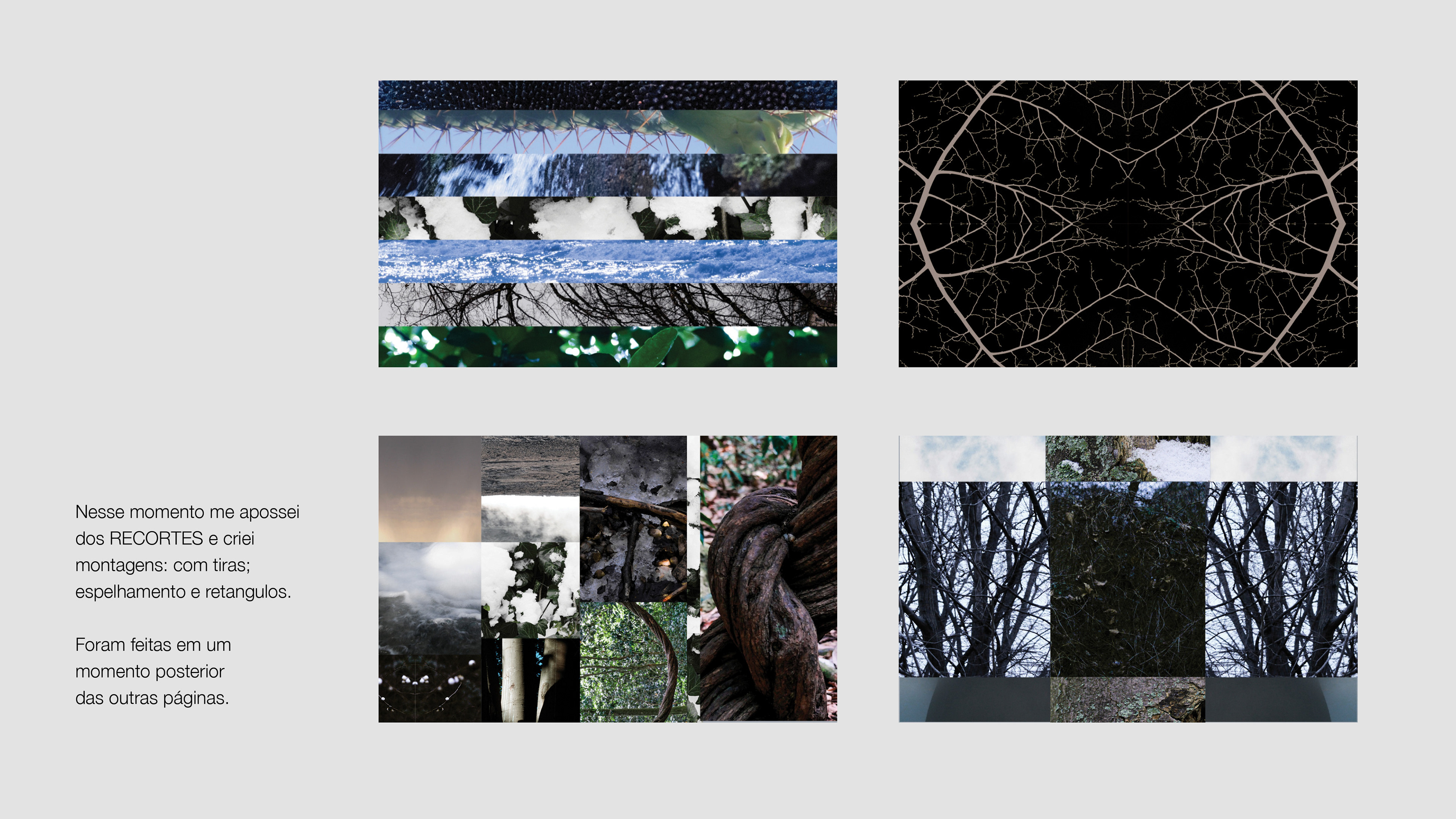 At that point, I took possession of the CUTOUTS and created collages: with strips, mirroring, and rectangles. These were made at a later moment than the other pages.