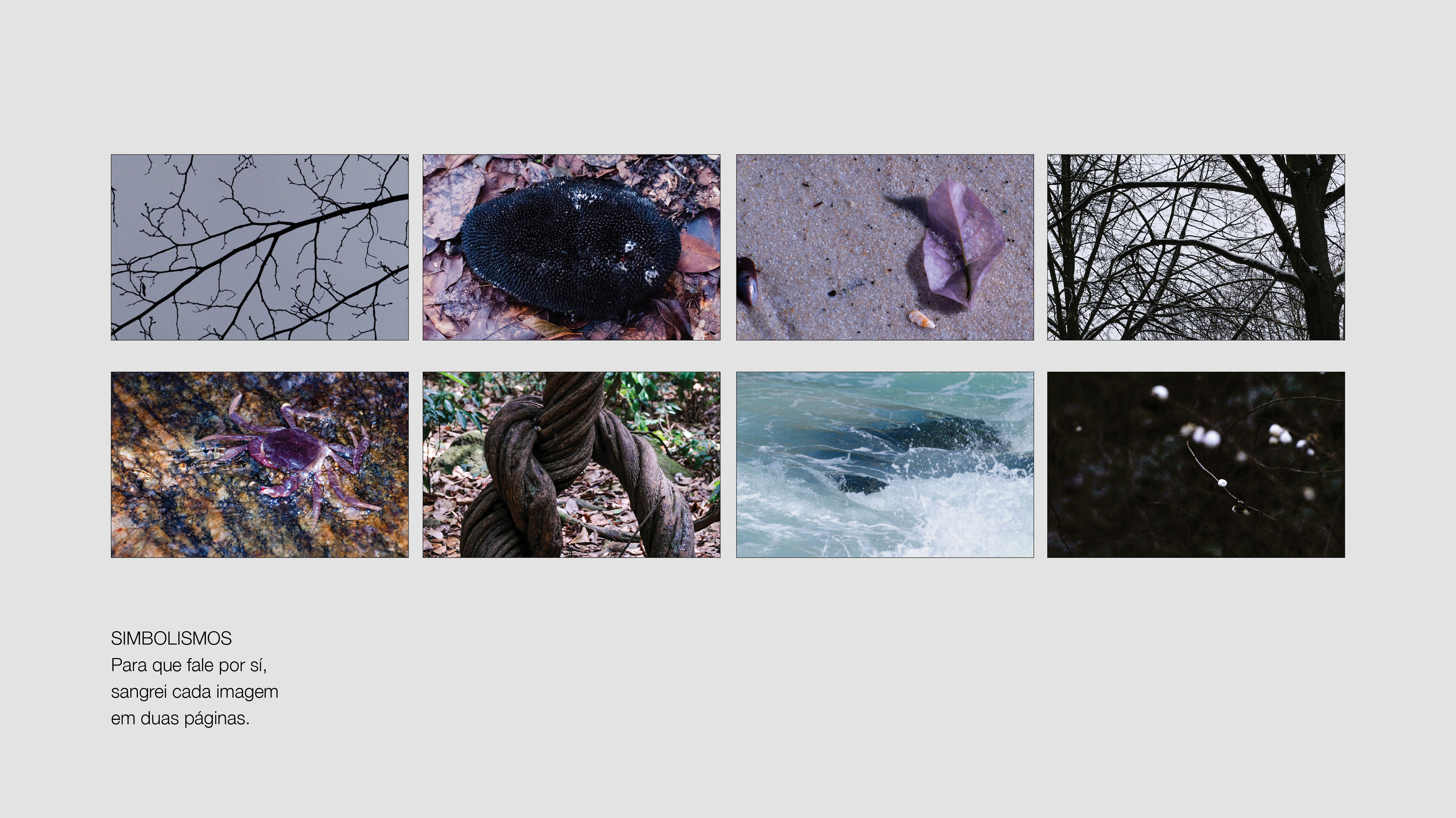 SYMBOLISMS So that it speaks for itself, I bled each image across two pages.