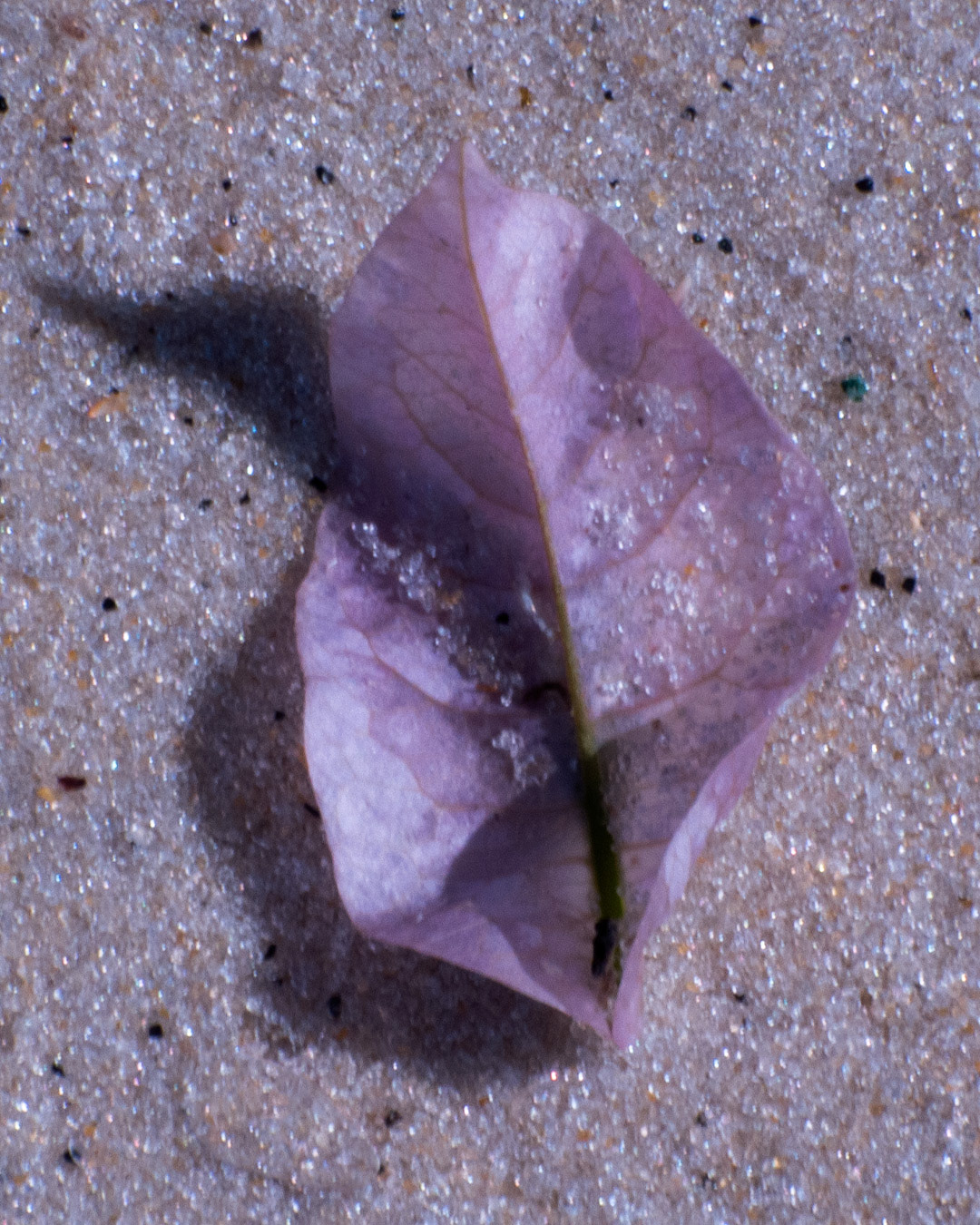 fragile