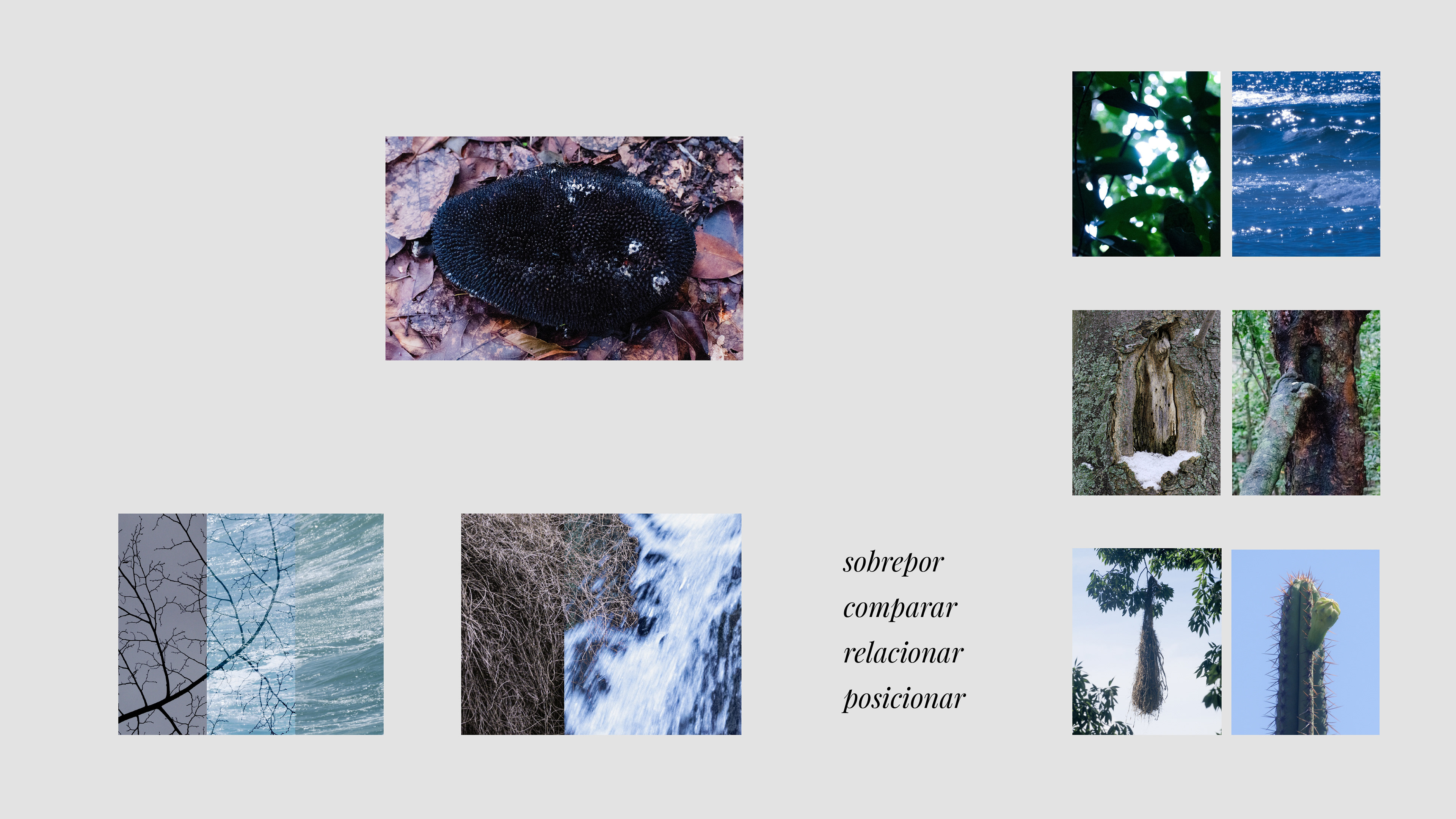 overlay, compare, relate, position