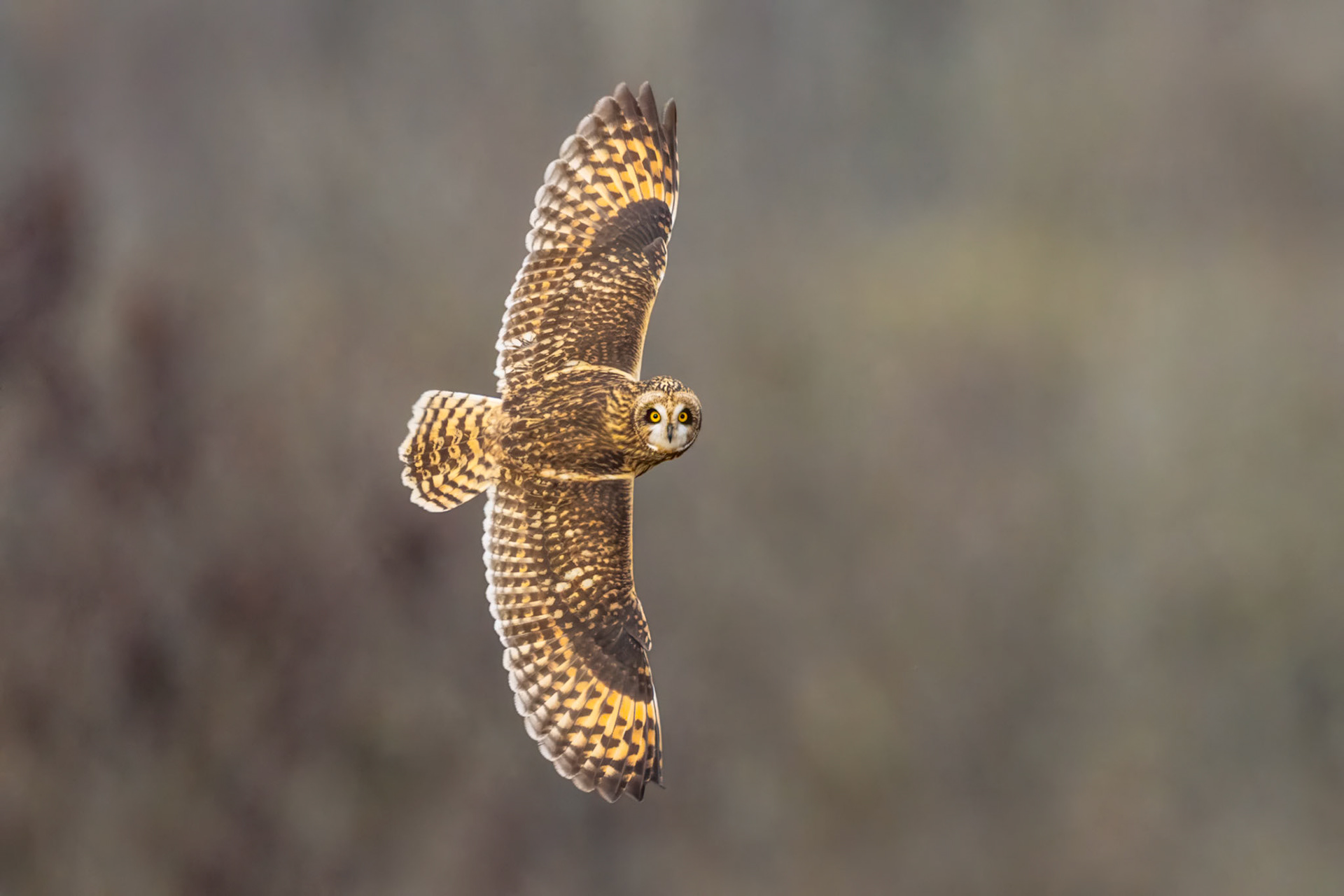 Shortie checking me out :) 