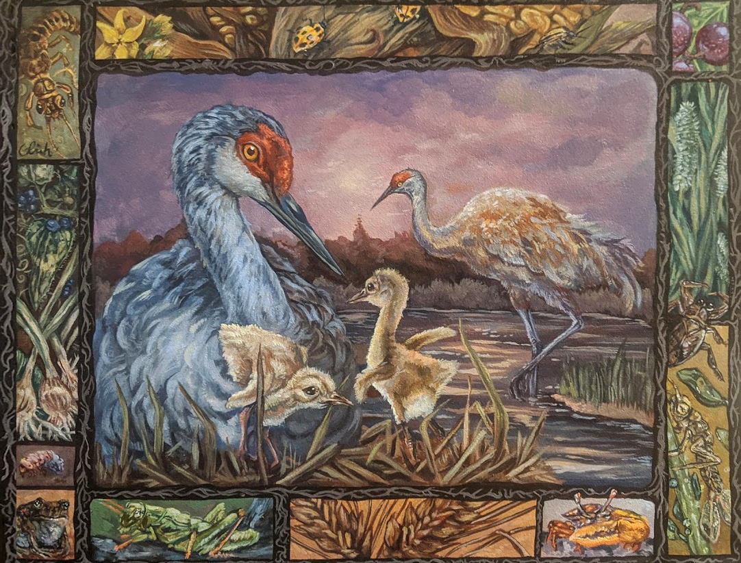 Sandhill Crane, Acrylic