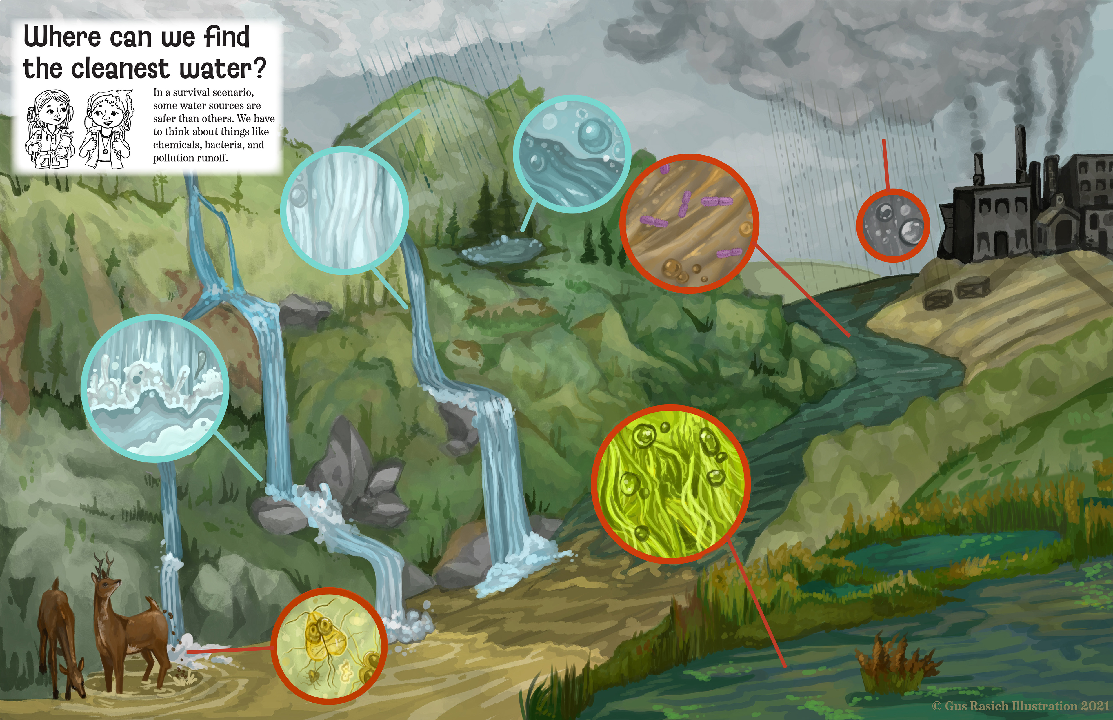 Survival Water Sources Poster for Potomac Valley Audubon Society, Photoshop