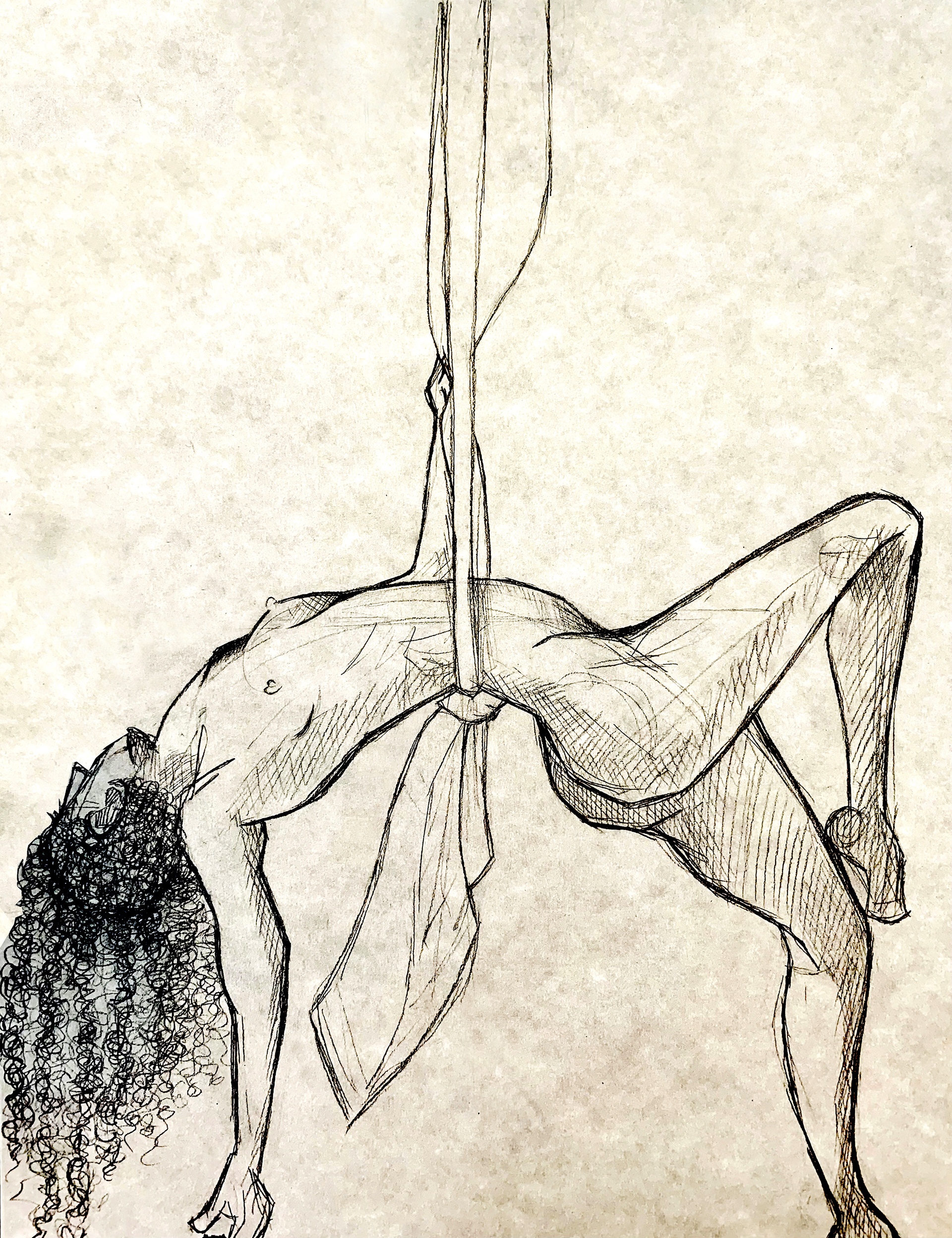 Aerial