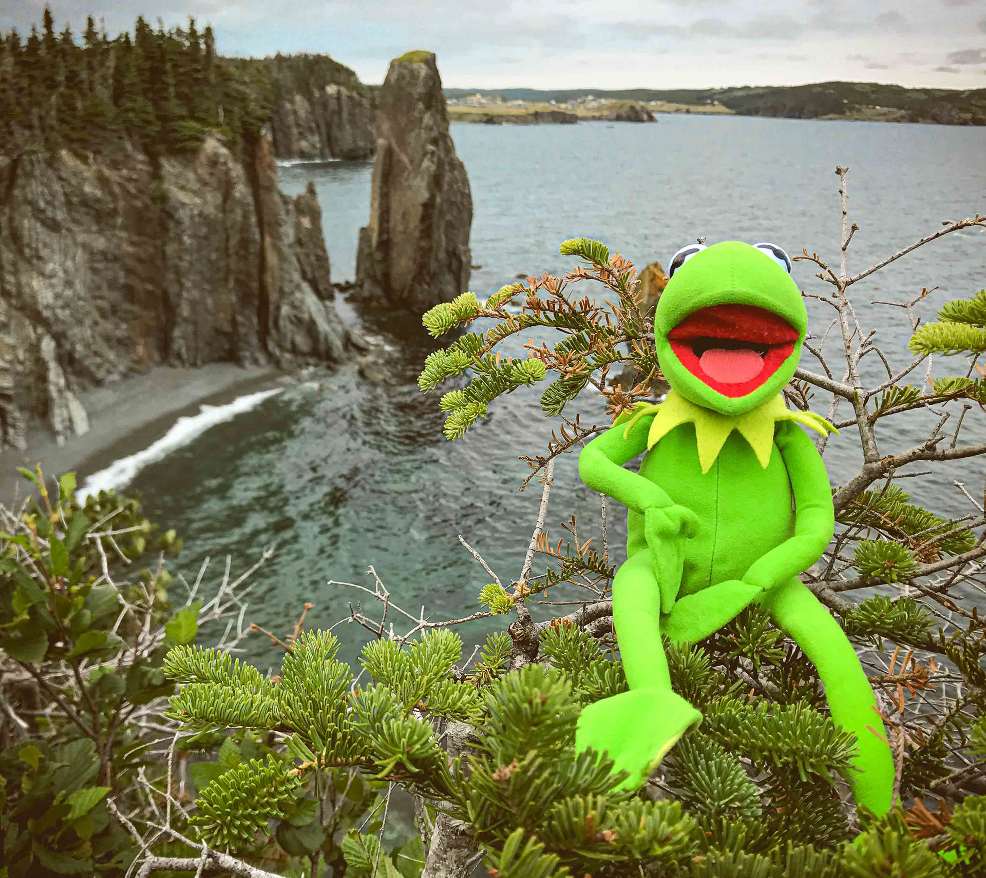 Skerwink Trail, Port Rexton