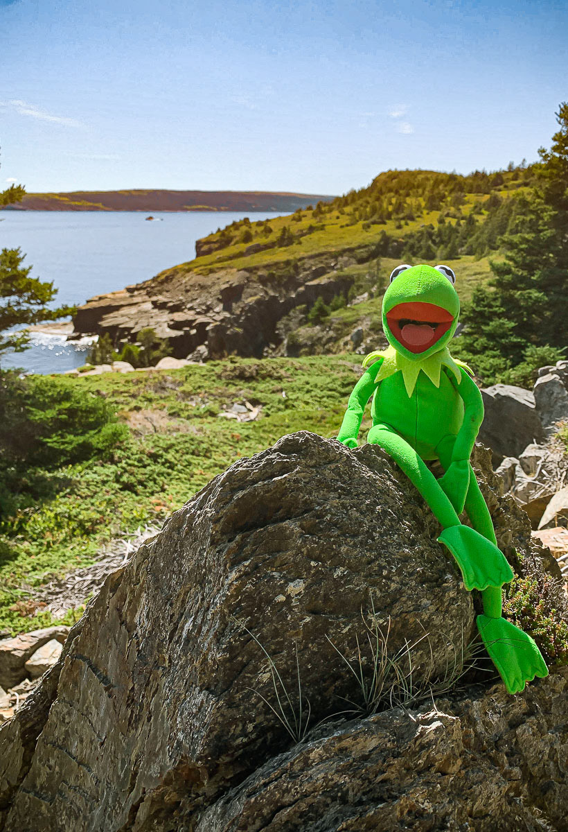 Pirate's Path, Harbour Grace