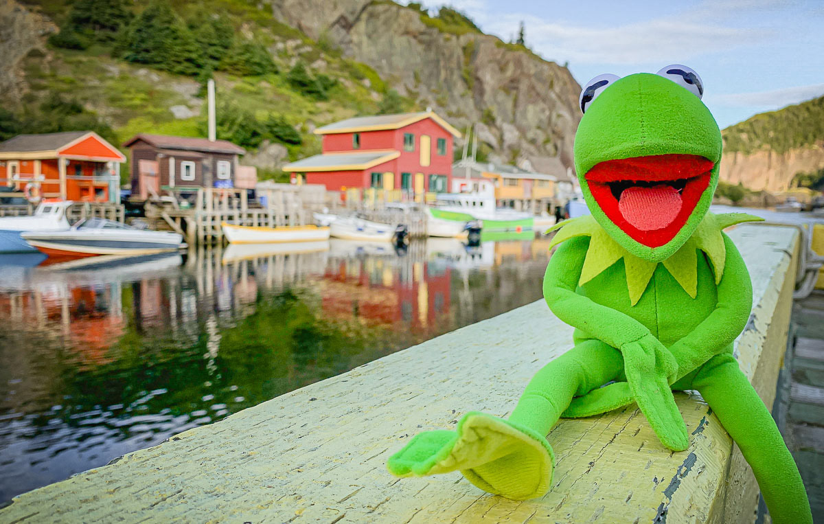Quidi Vidi Gut