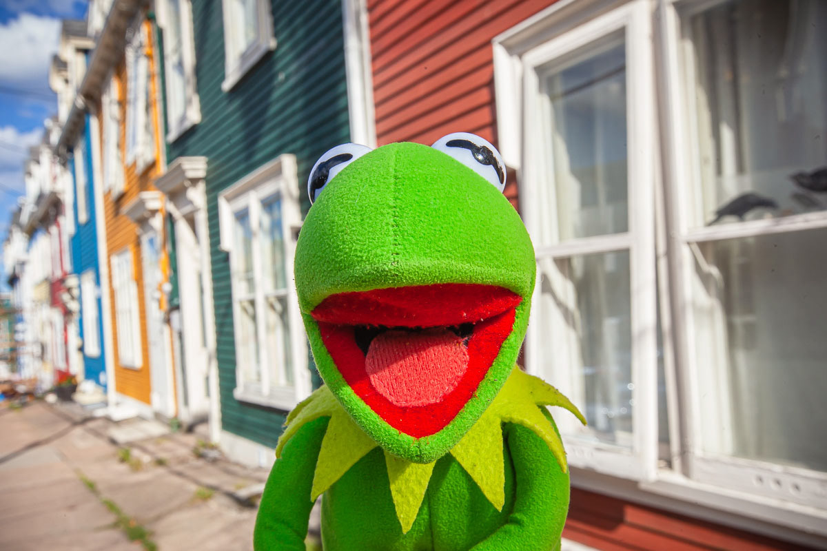 Jellybean Row, St. John's