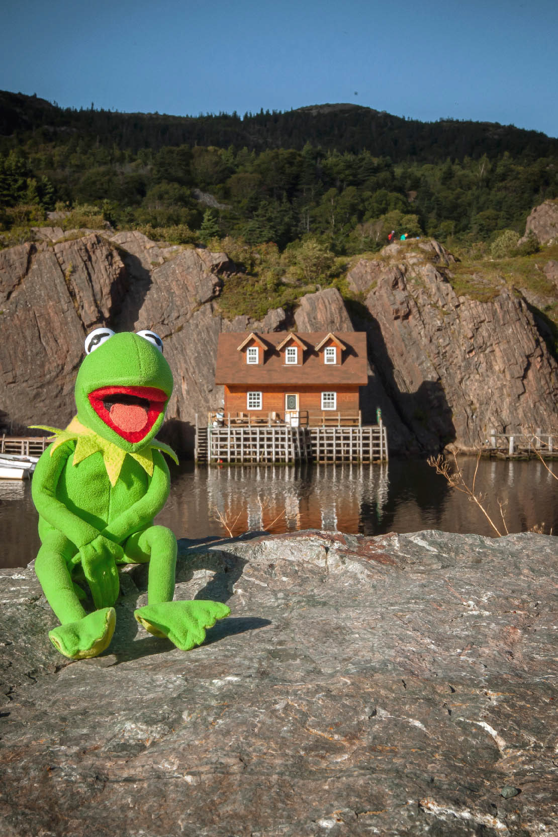 Quidi Vidi Gut