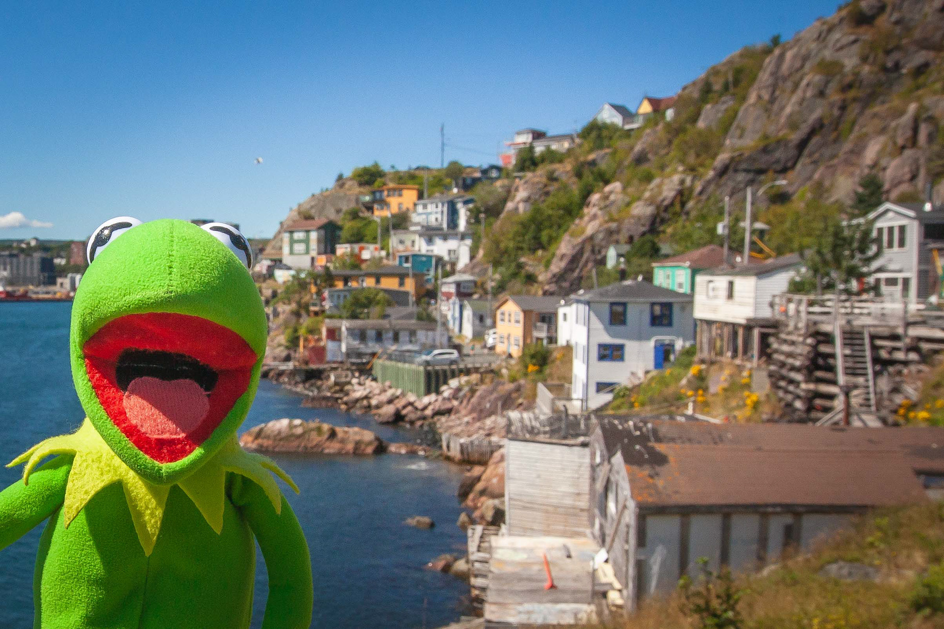 The Battery, Newfoundland, Canada