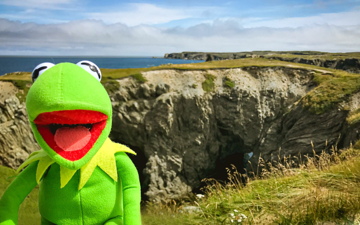Dungeon's Provincial Park, Bonavista