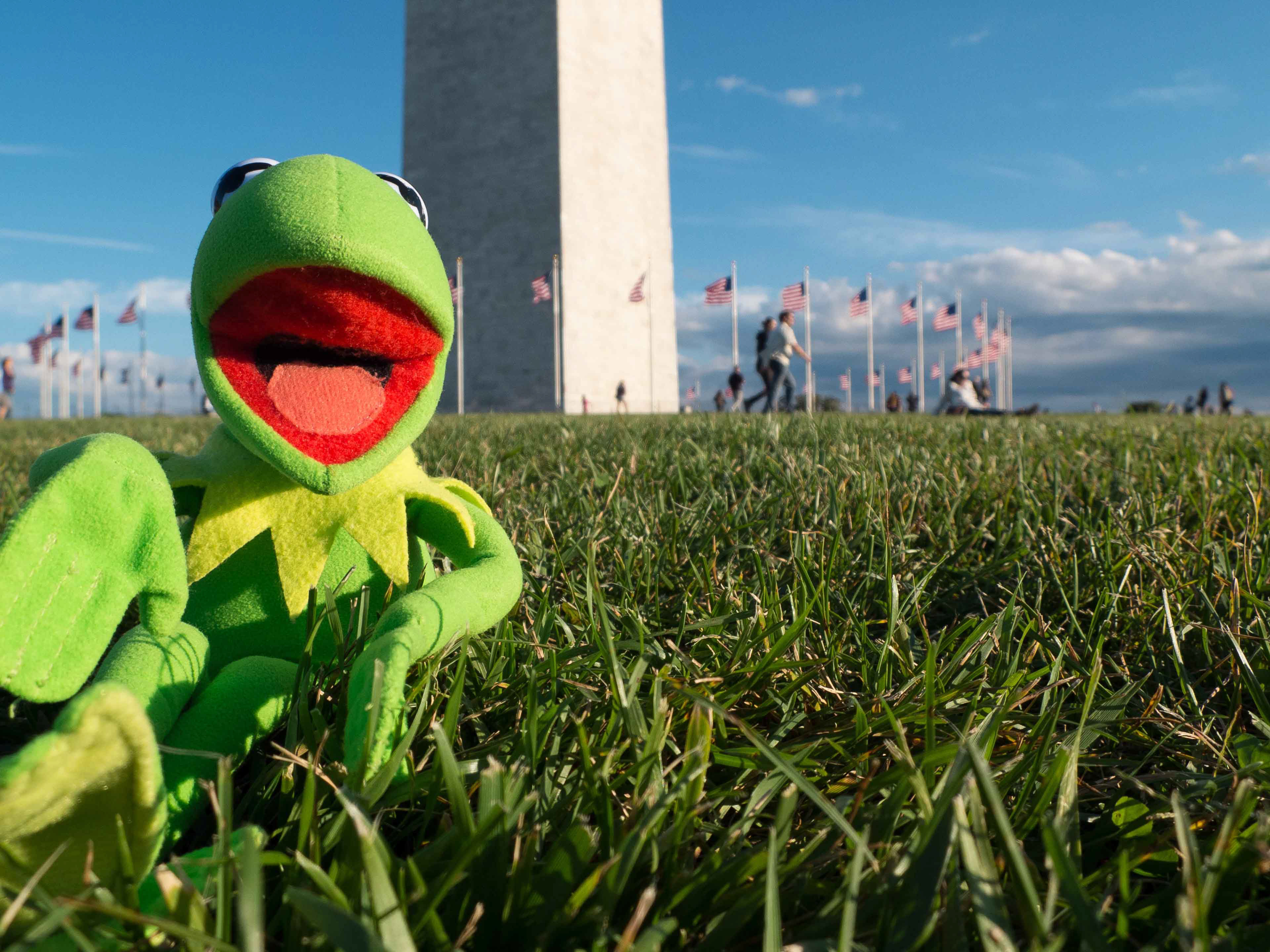 Washington DC