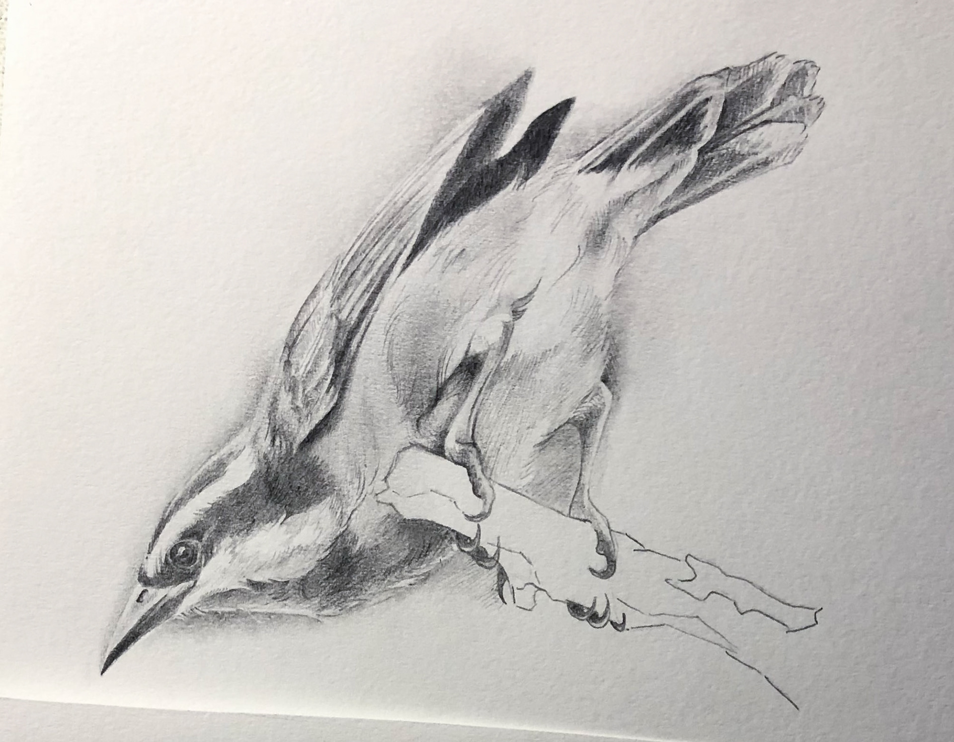 Study for a painting