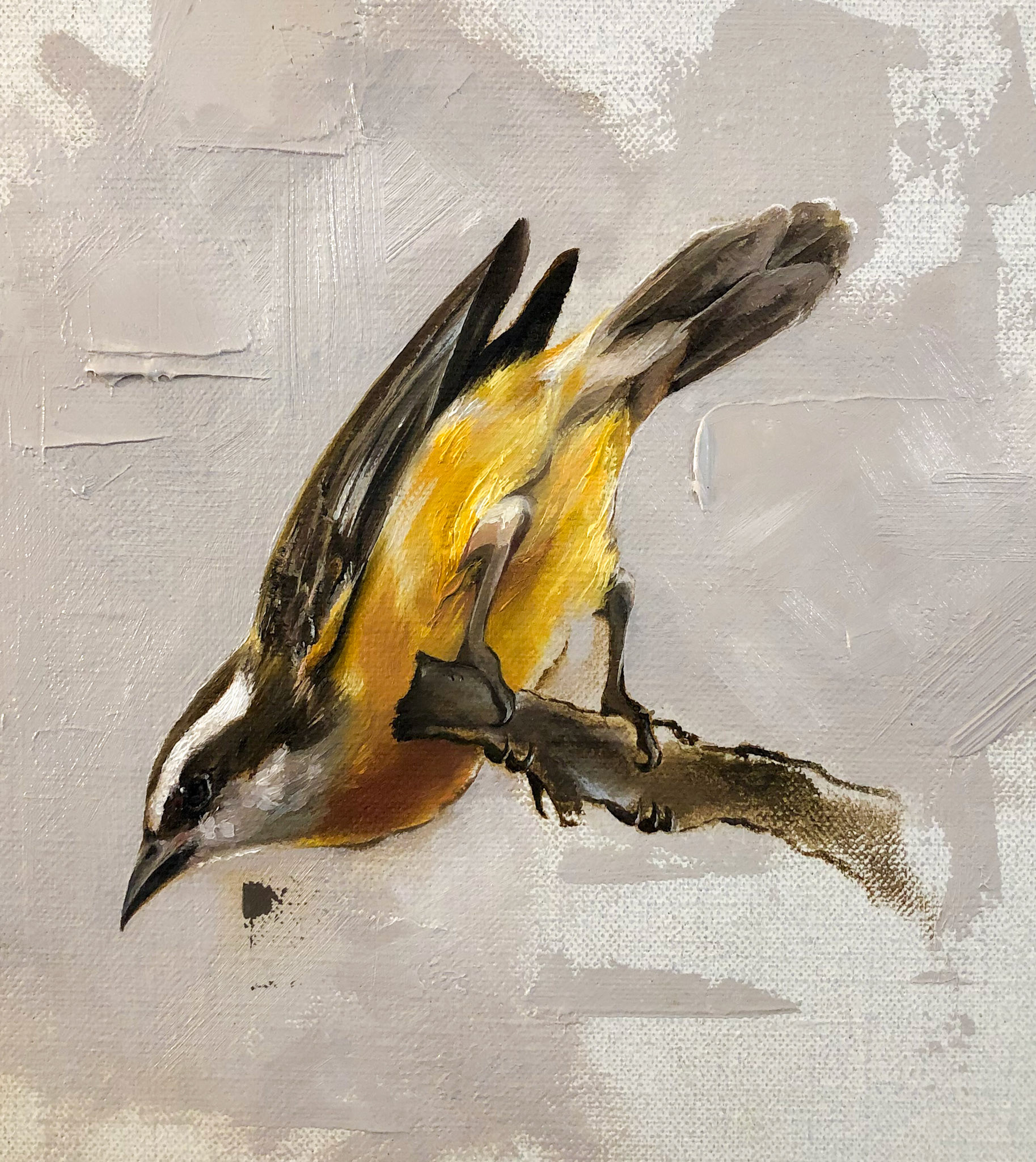 Indigenous Bird