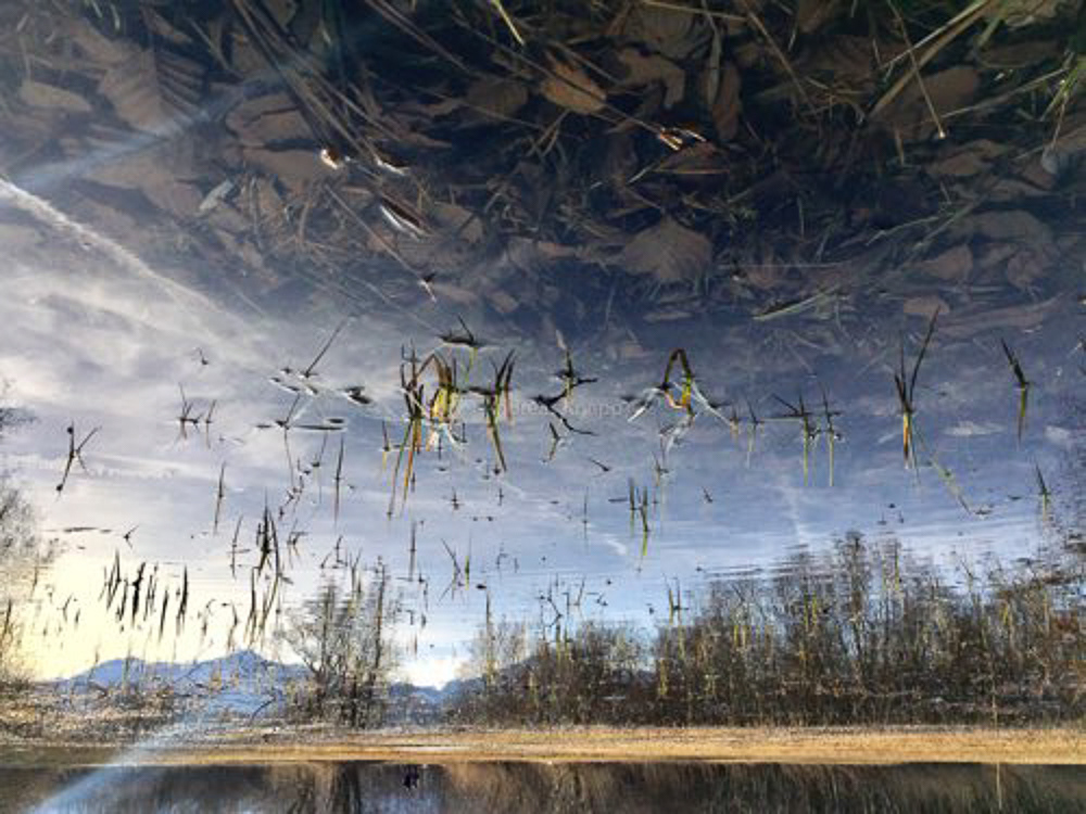 Die Welt neu sehen © A. Knapp